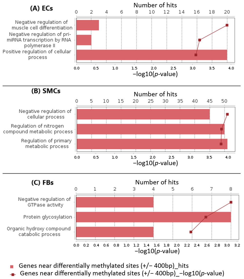 Epigenomes 07 00008 g005