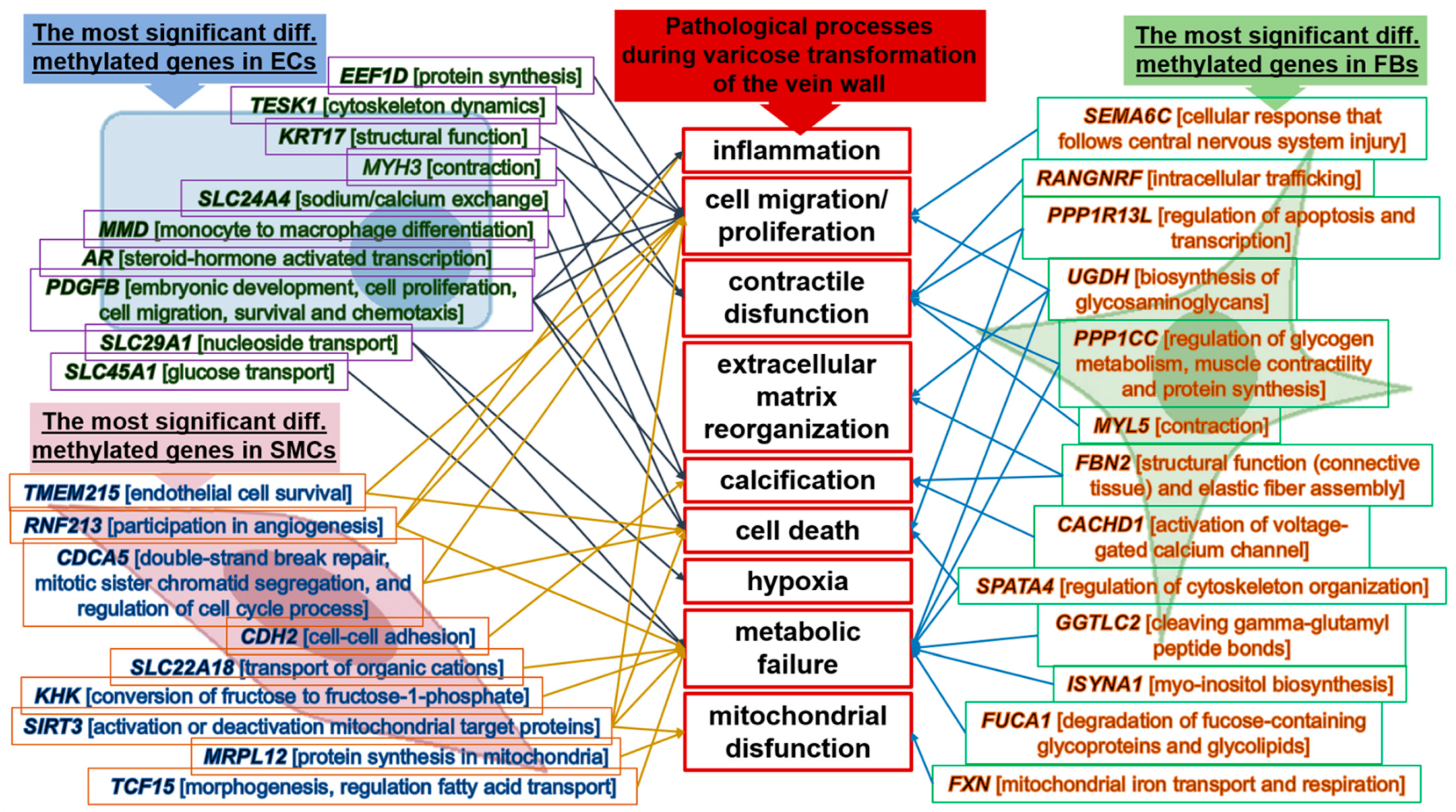 Epigenomes 07 00008 g006