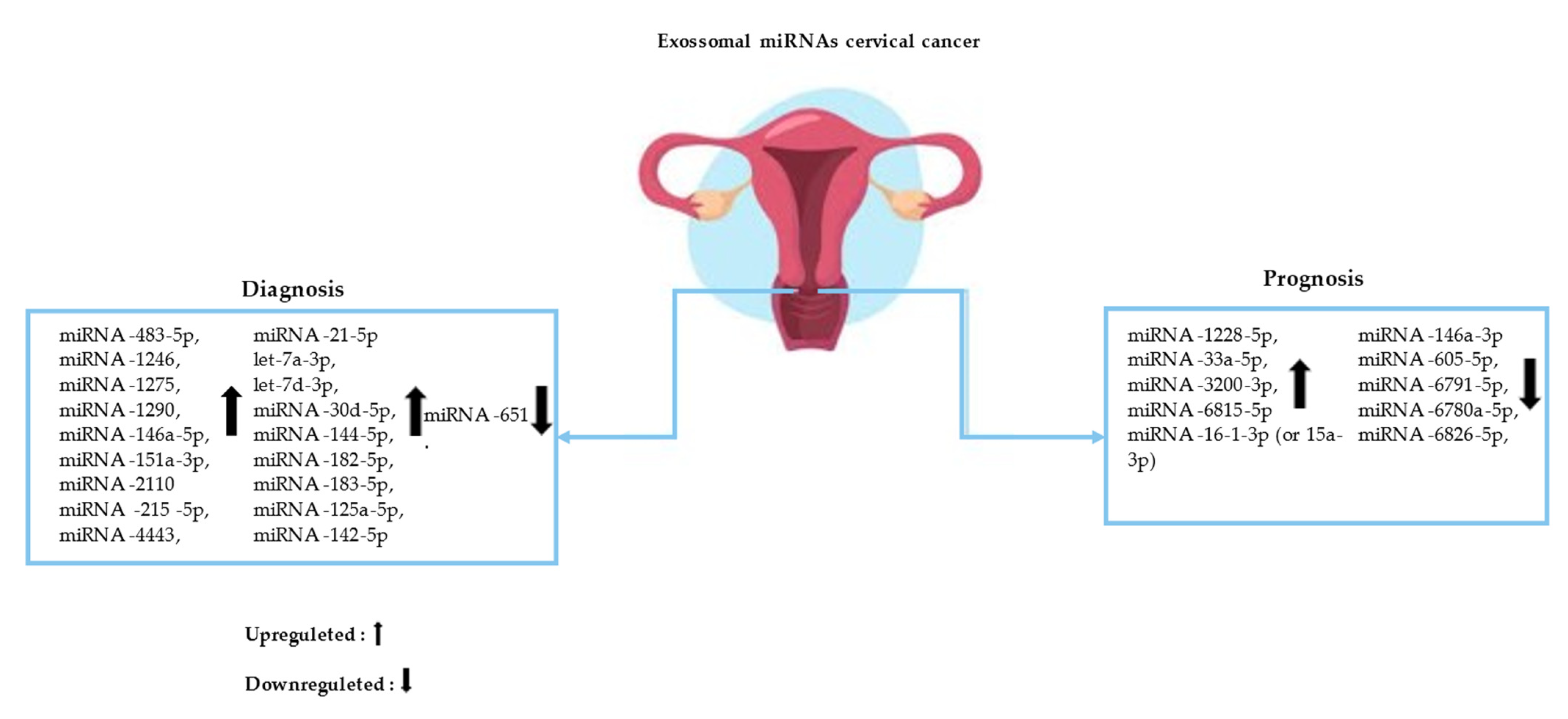 Epigenomes 07 00016 g002