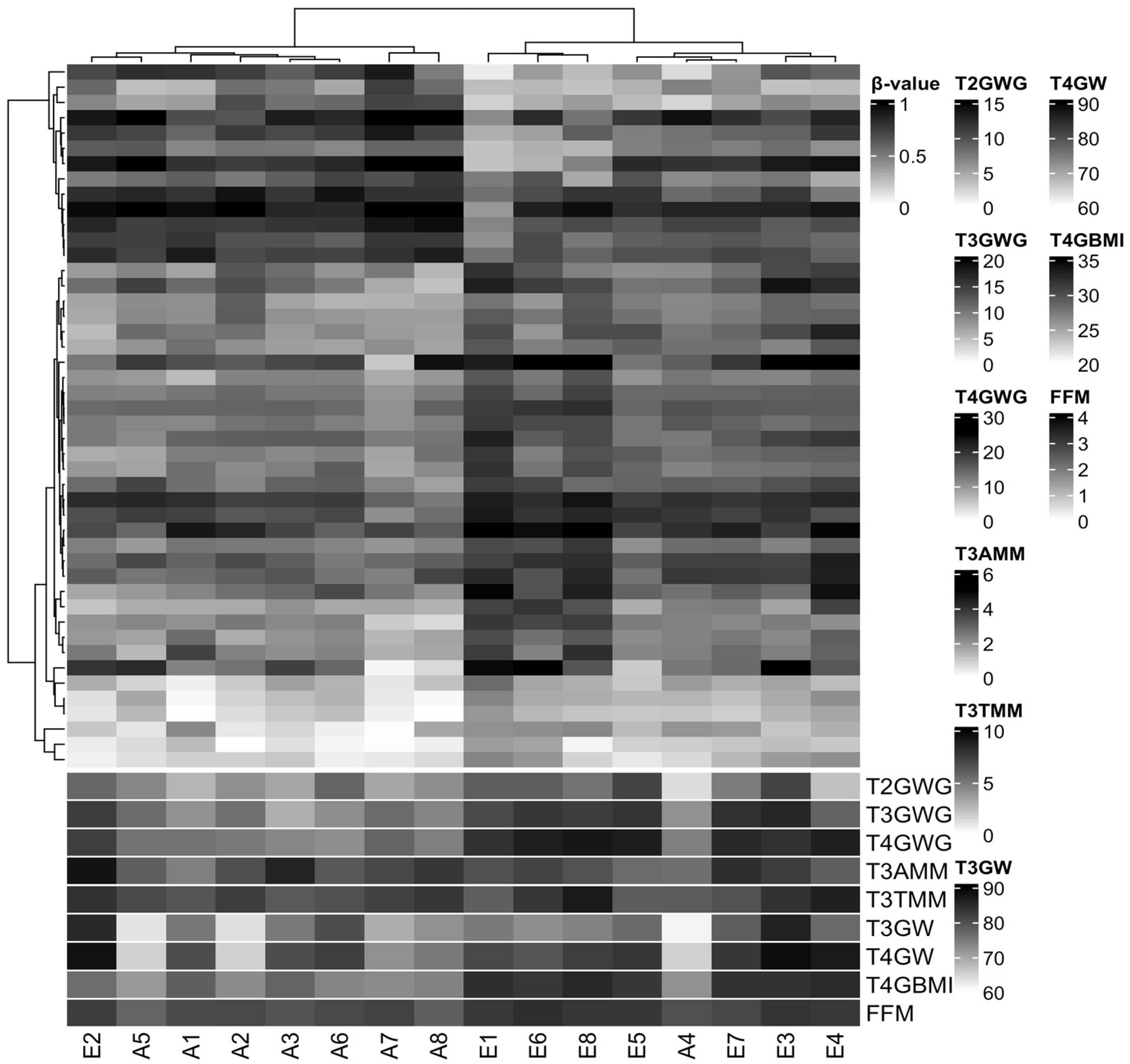 Epigenomes 07 00018 g002