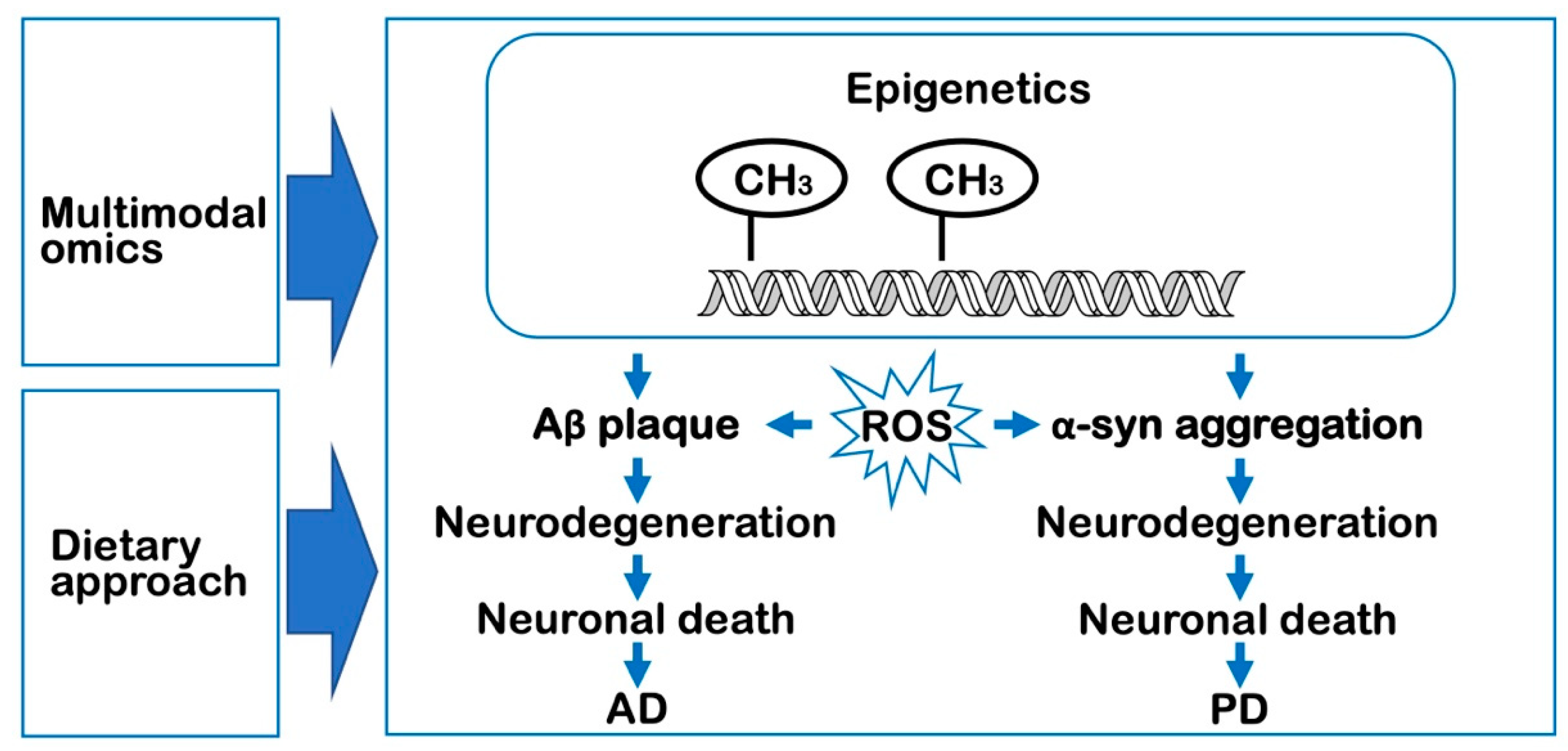 Epigenomes 07 00020 g001