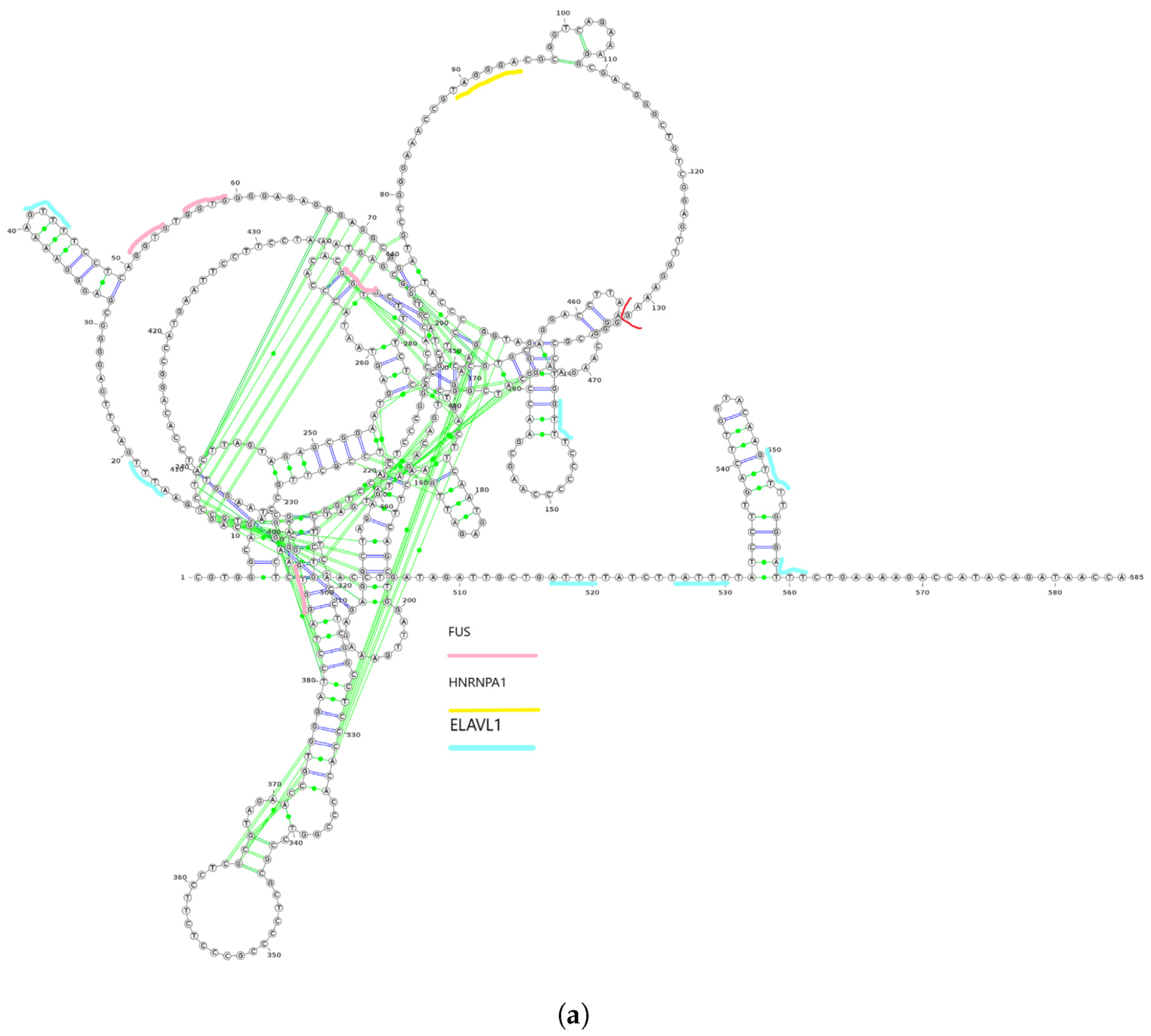Epigenomes 07 00022 g003a