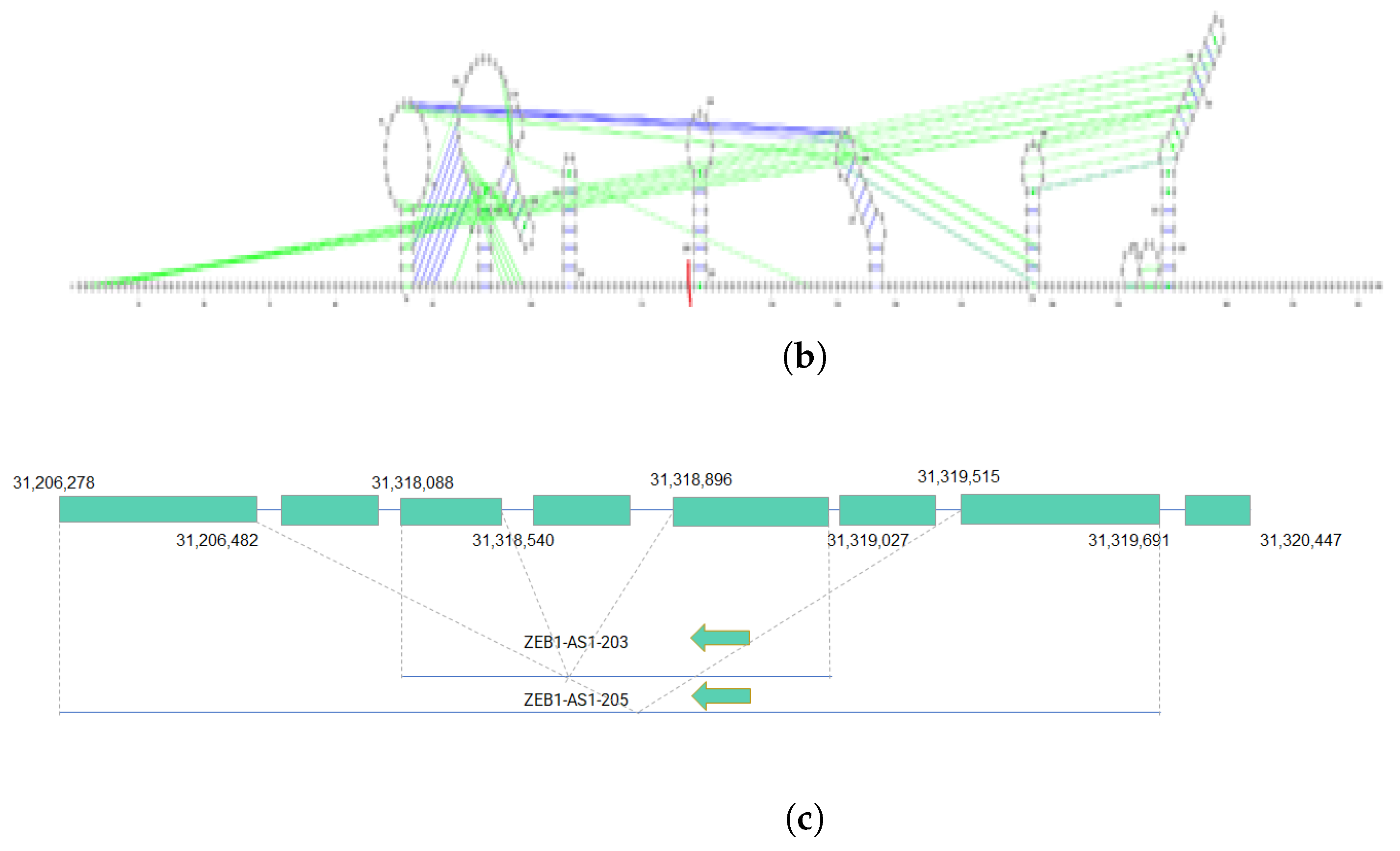 Epigenomes 07 00022 g003b