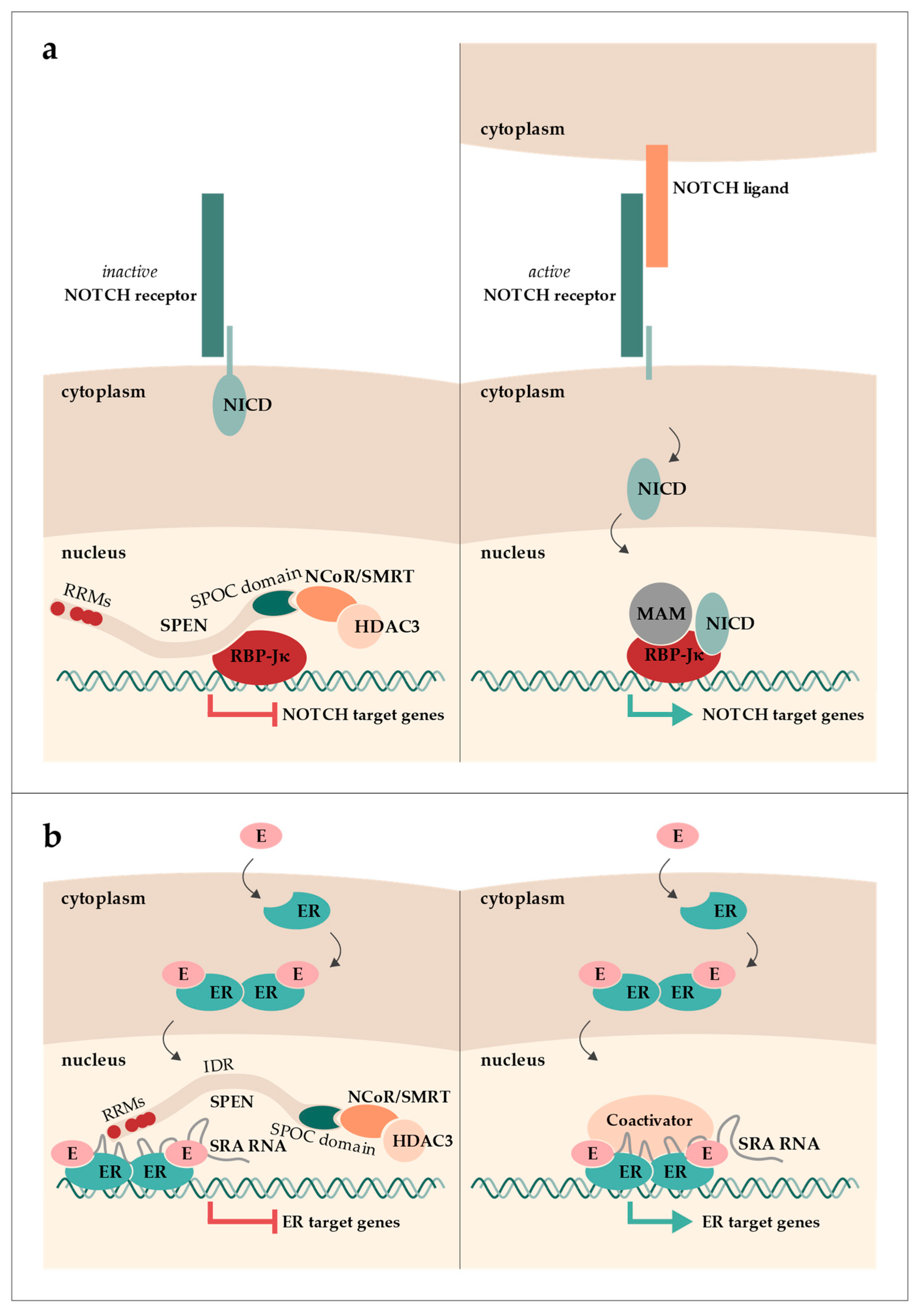 Epigenomes 07 00028 g001 Epigenomes 07 00028 g001