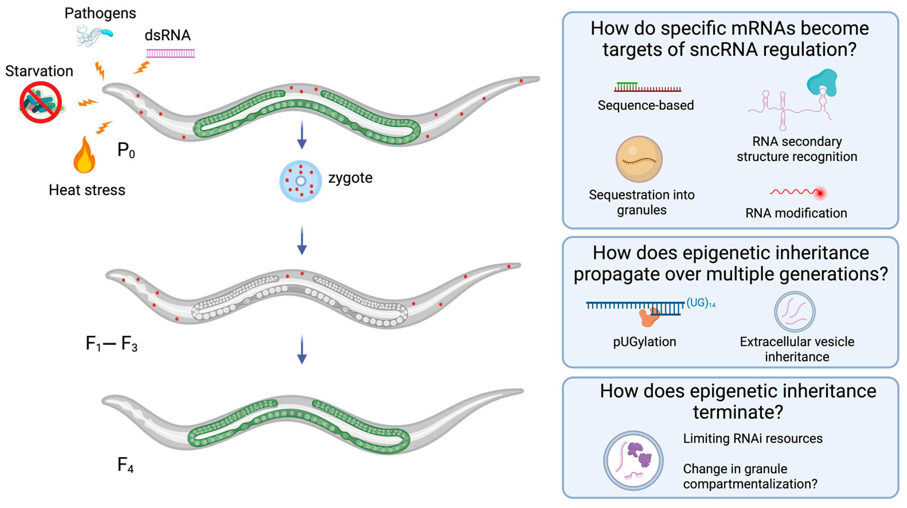 Epigenomes 08 00001 g002 Epigenomes 08 00001 g002