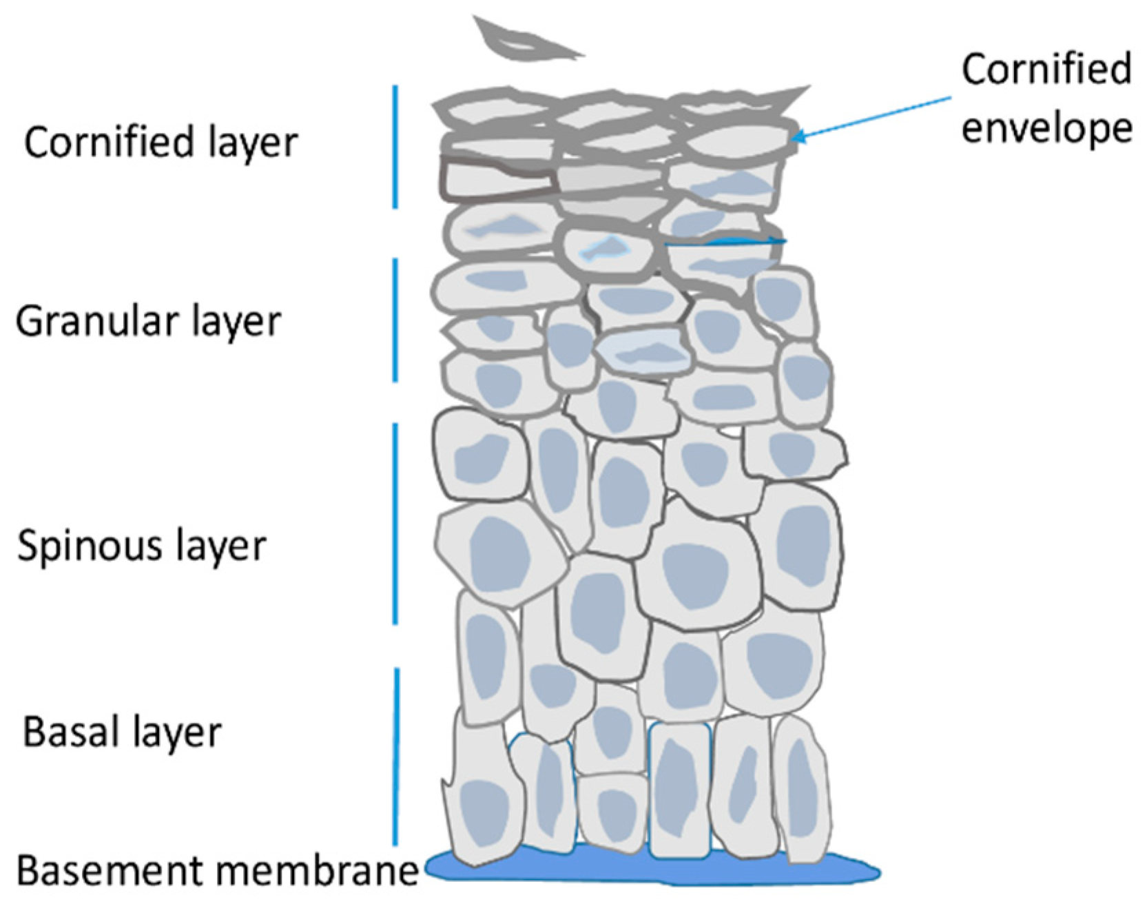 Epigenomes 08 00009 g001