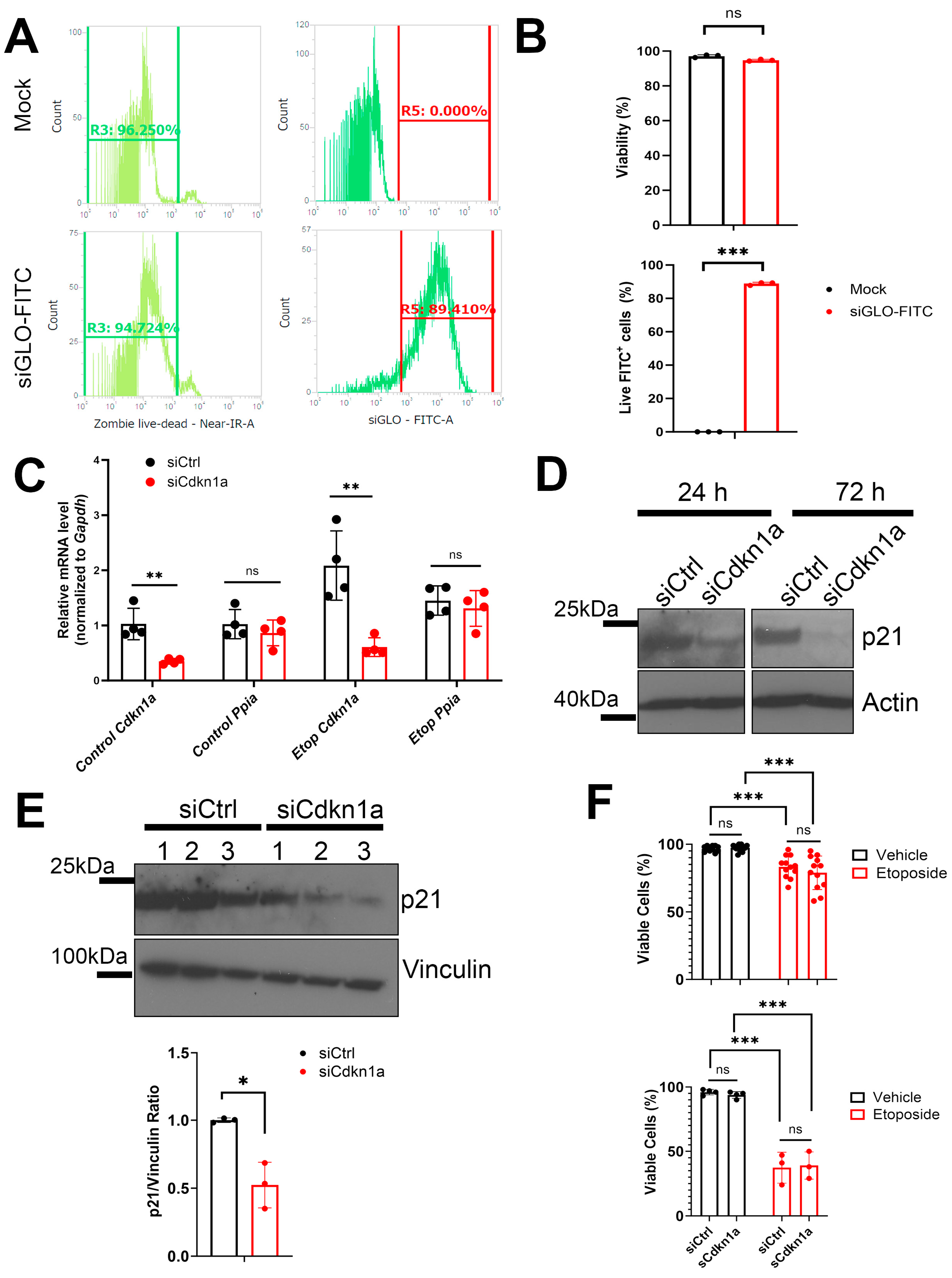 Epigenomes 08 00010 g003