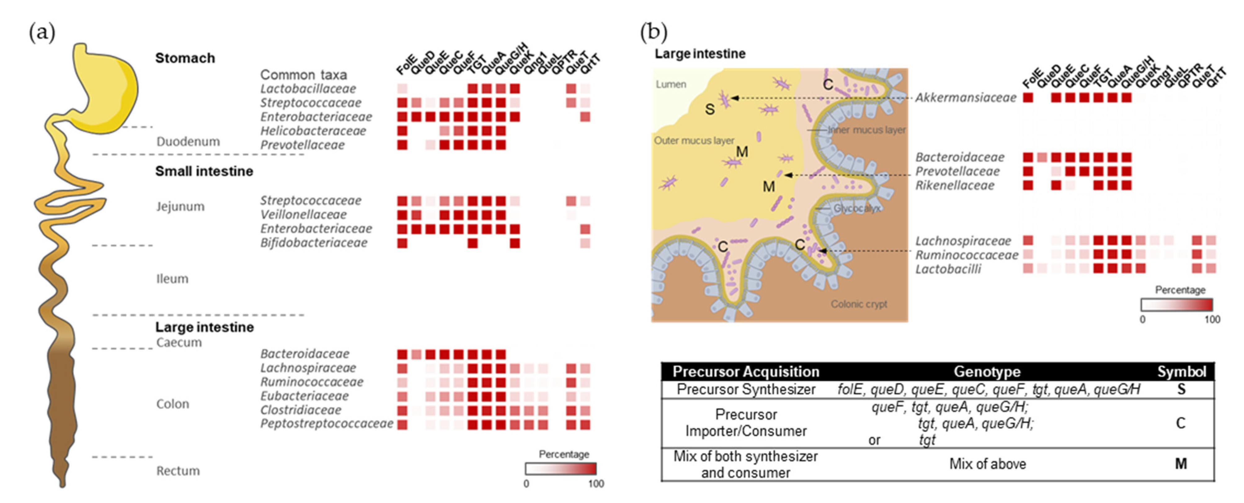 Epigenomes 08 00016 g004