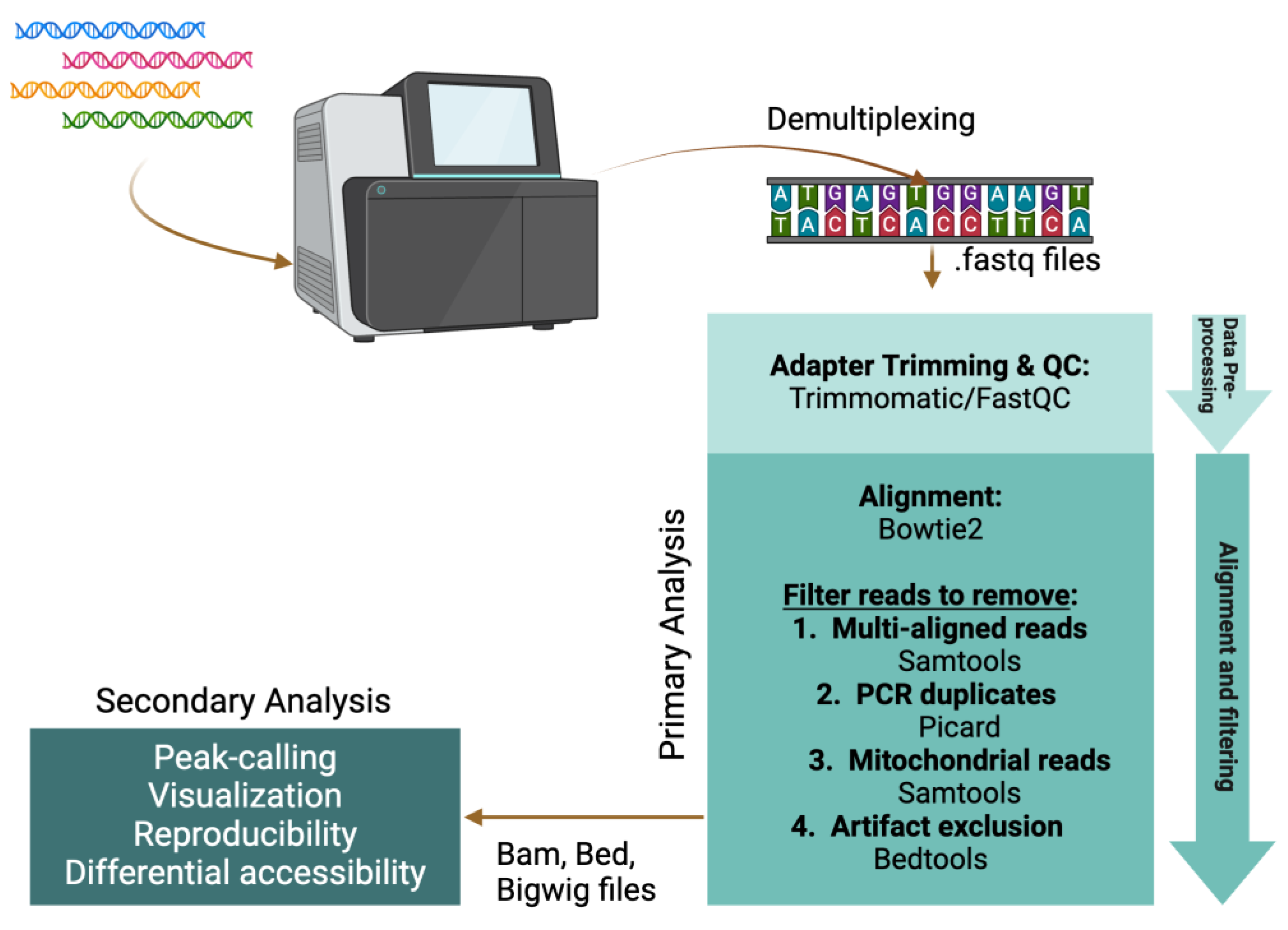 Epigenomes 08 00020 g004