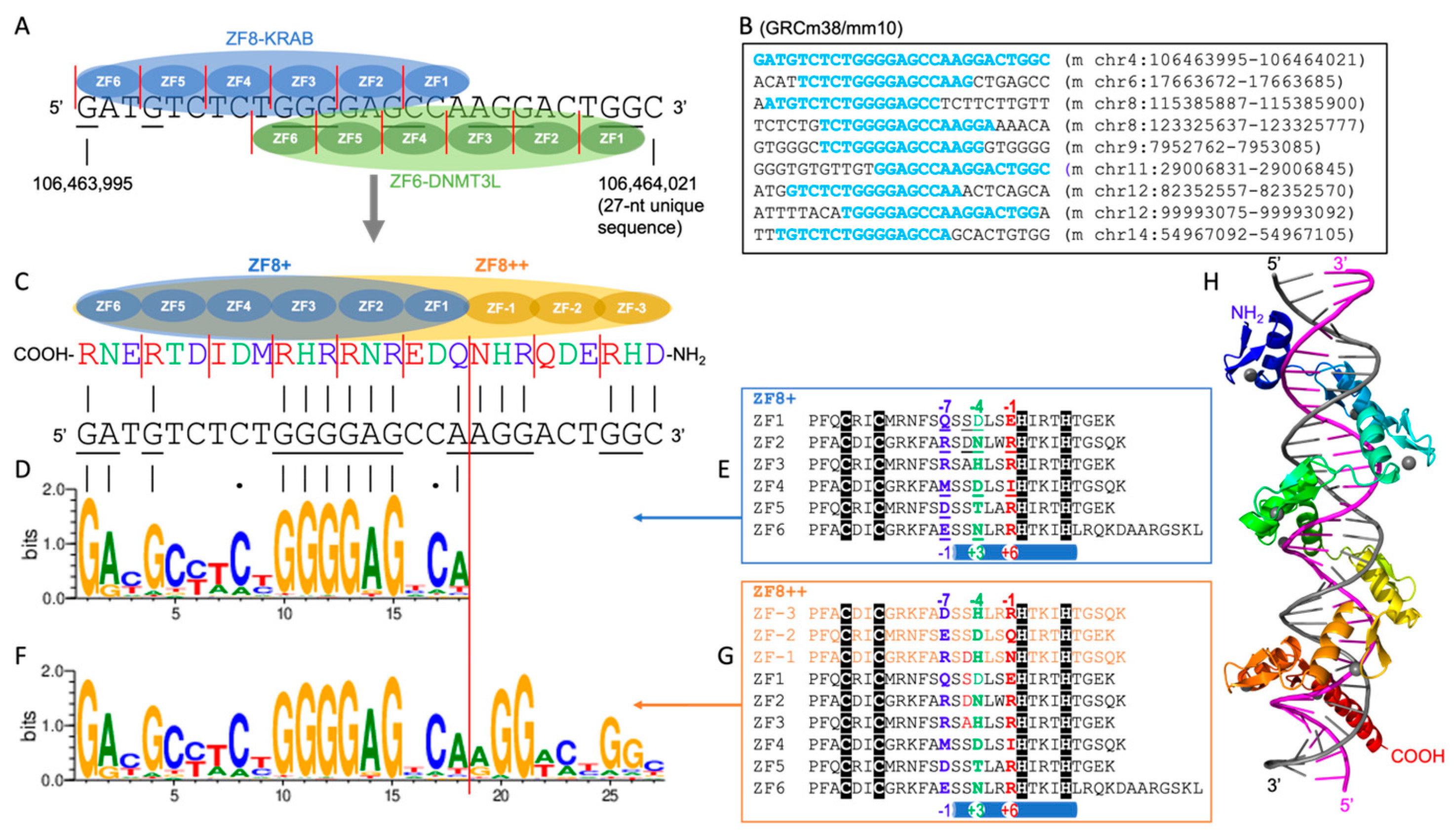 Epigenomes 08 00023 g002