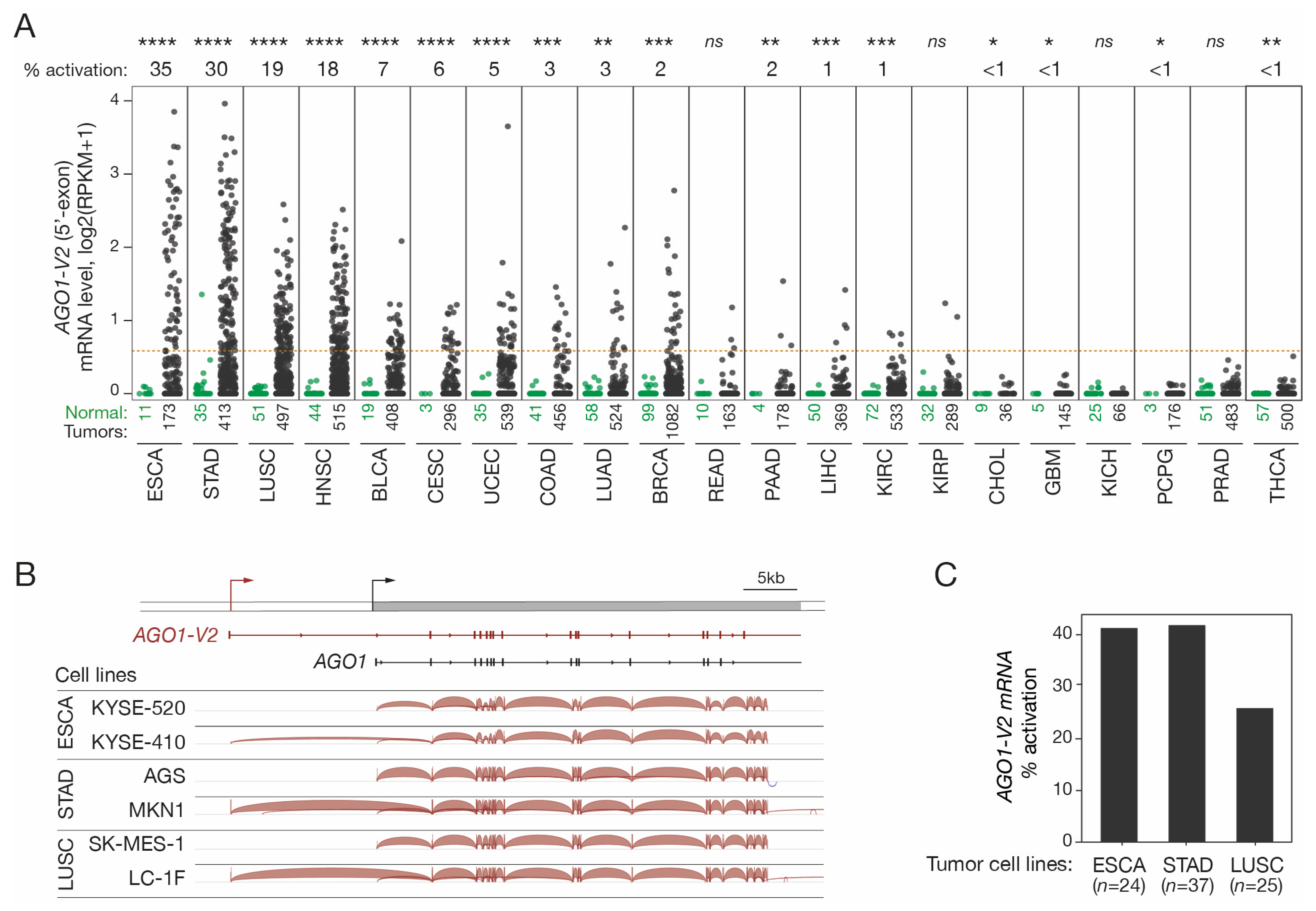Epigenomes 08 00024 g002