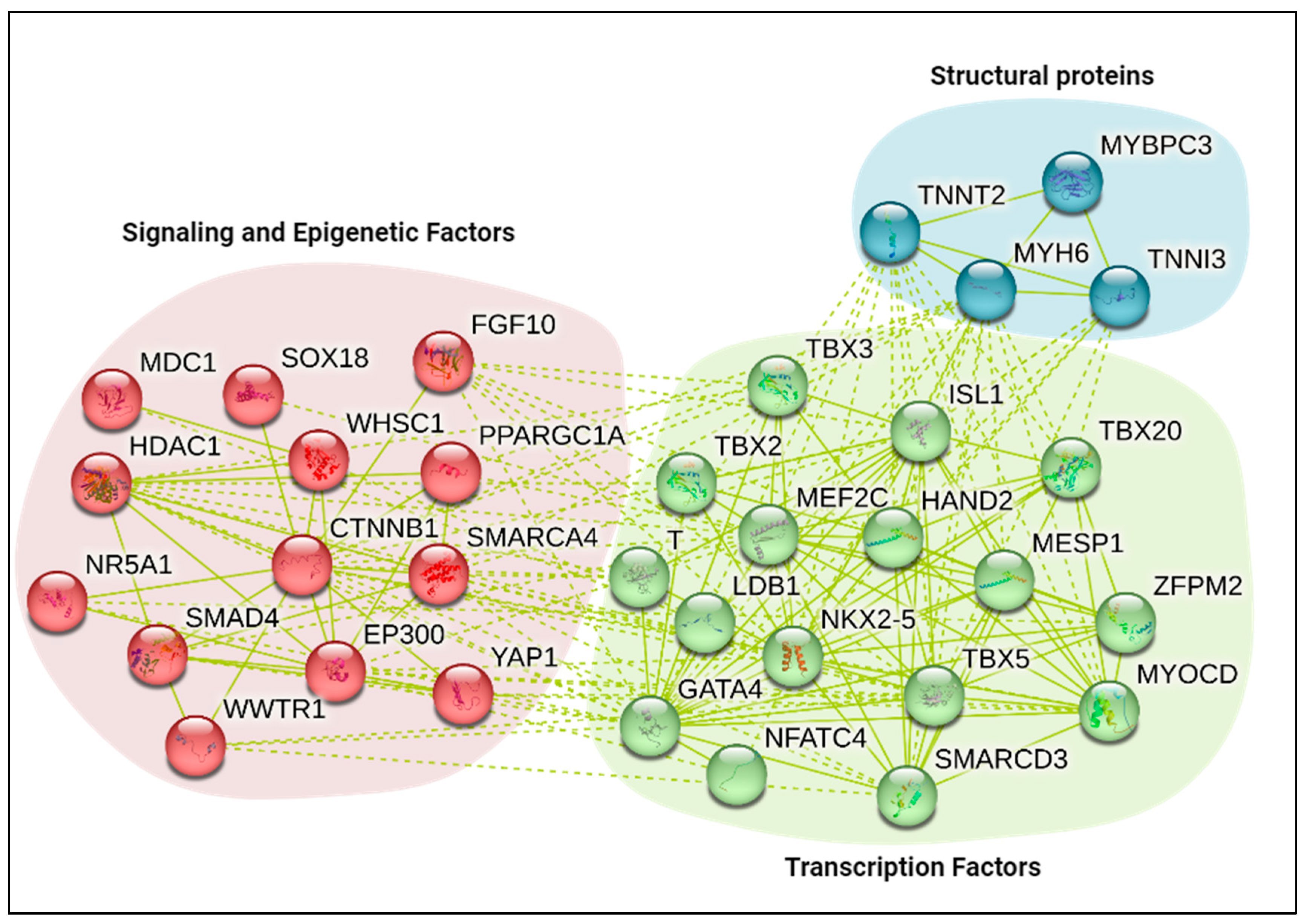 Epigenomes 08 00025 g001
