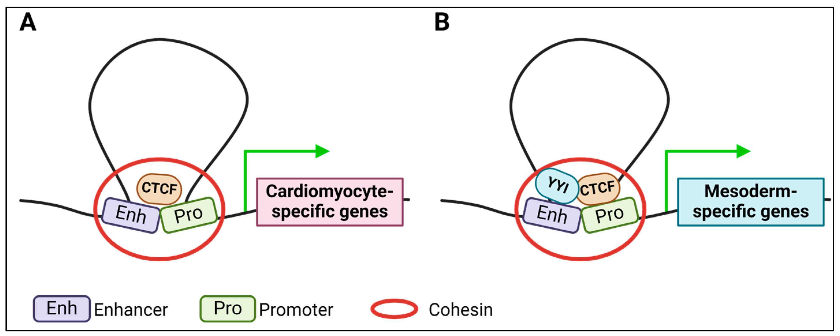 Epigenomes 08 00025 g002