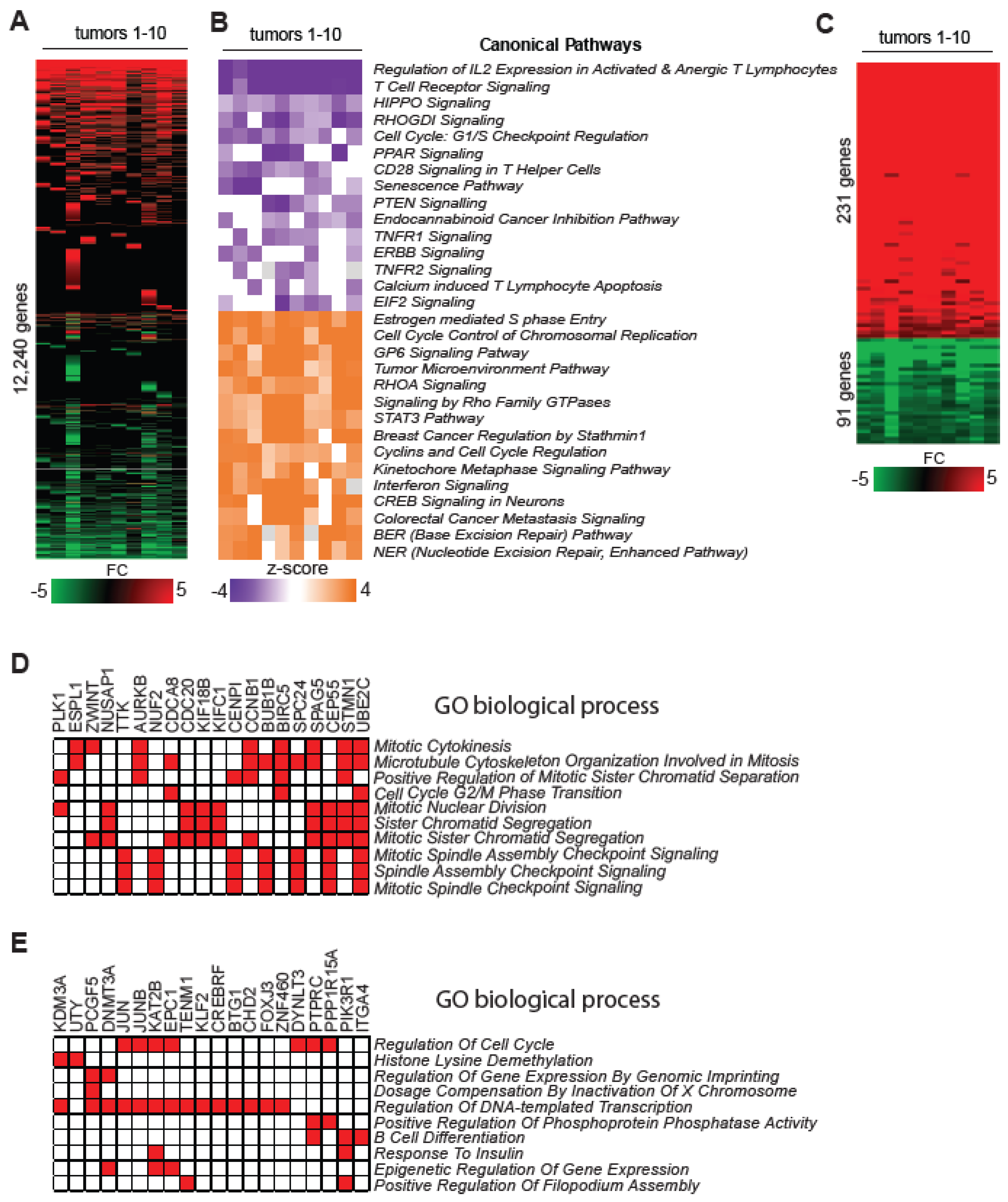 Epigenomes 08 00032 g003 Epigenomes 08 00032 g003