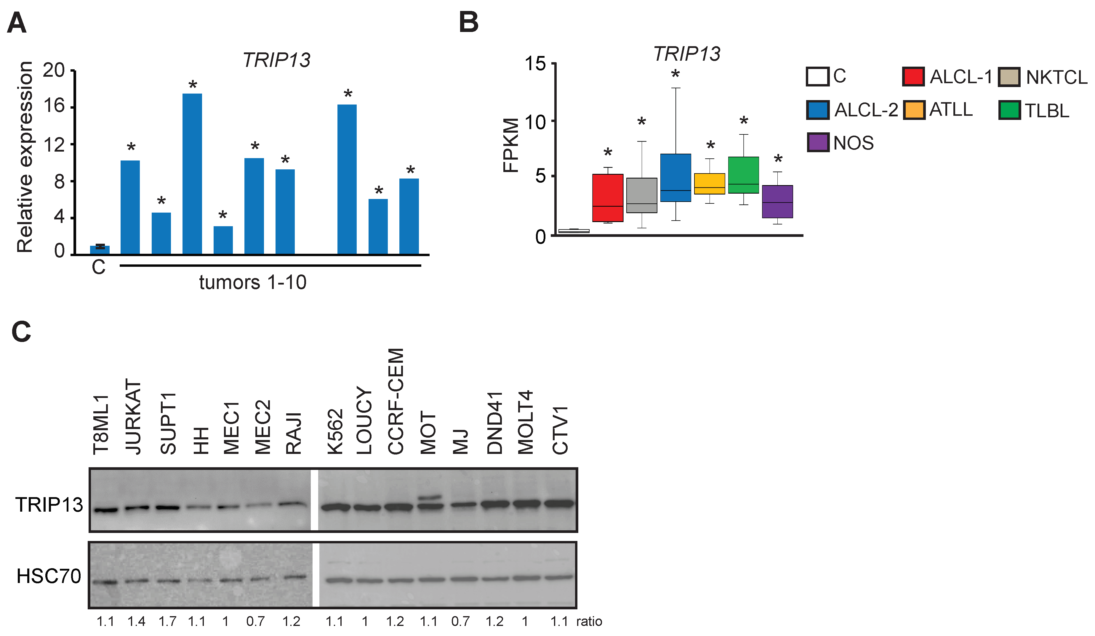 Epigenomes 08 00032 g006 Epigenomes 08 00032 g006