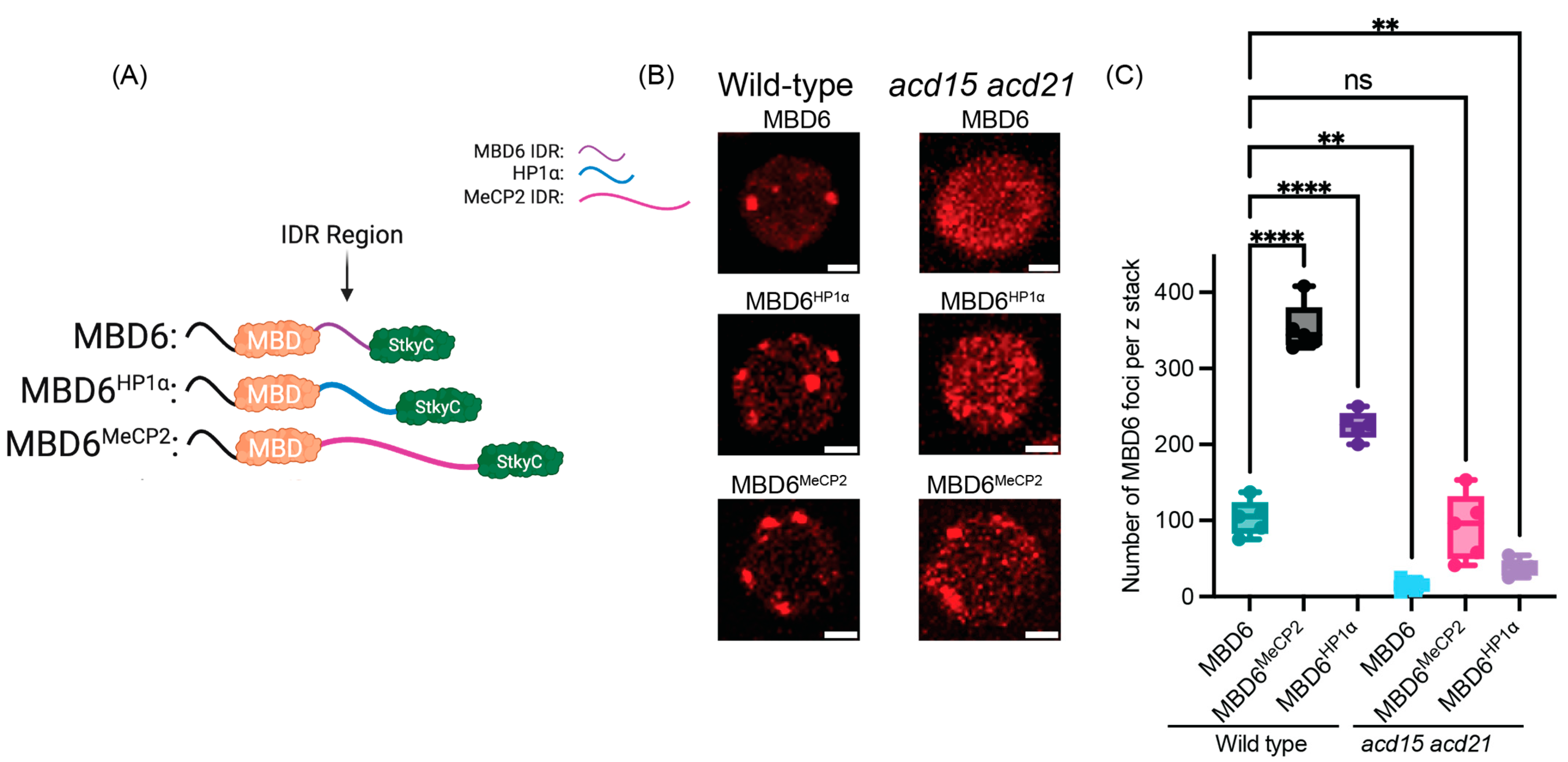 Epigenomes 08 00033 g001