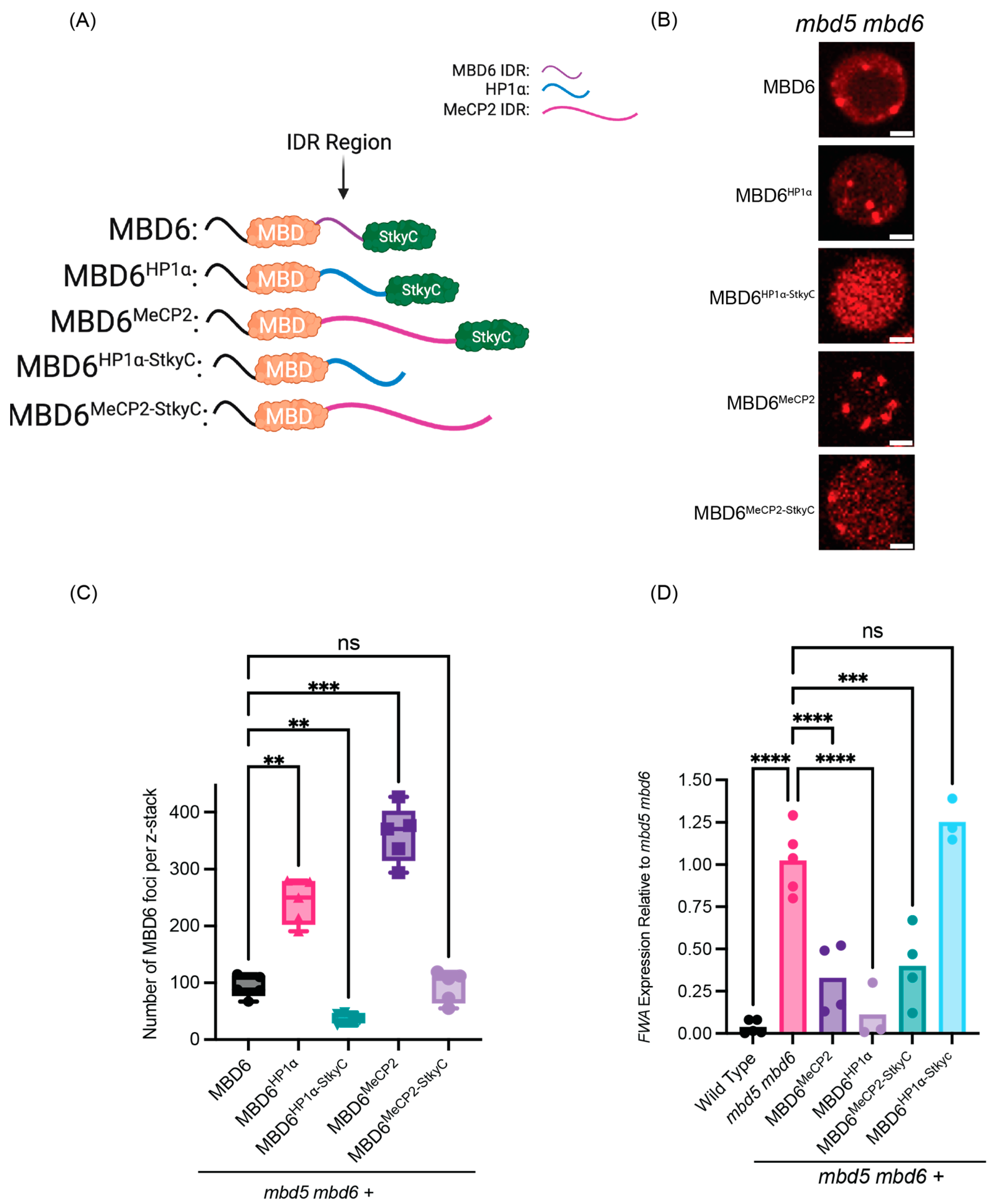 Epigenomes 08 00033 g002