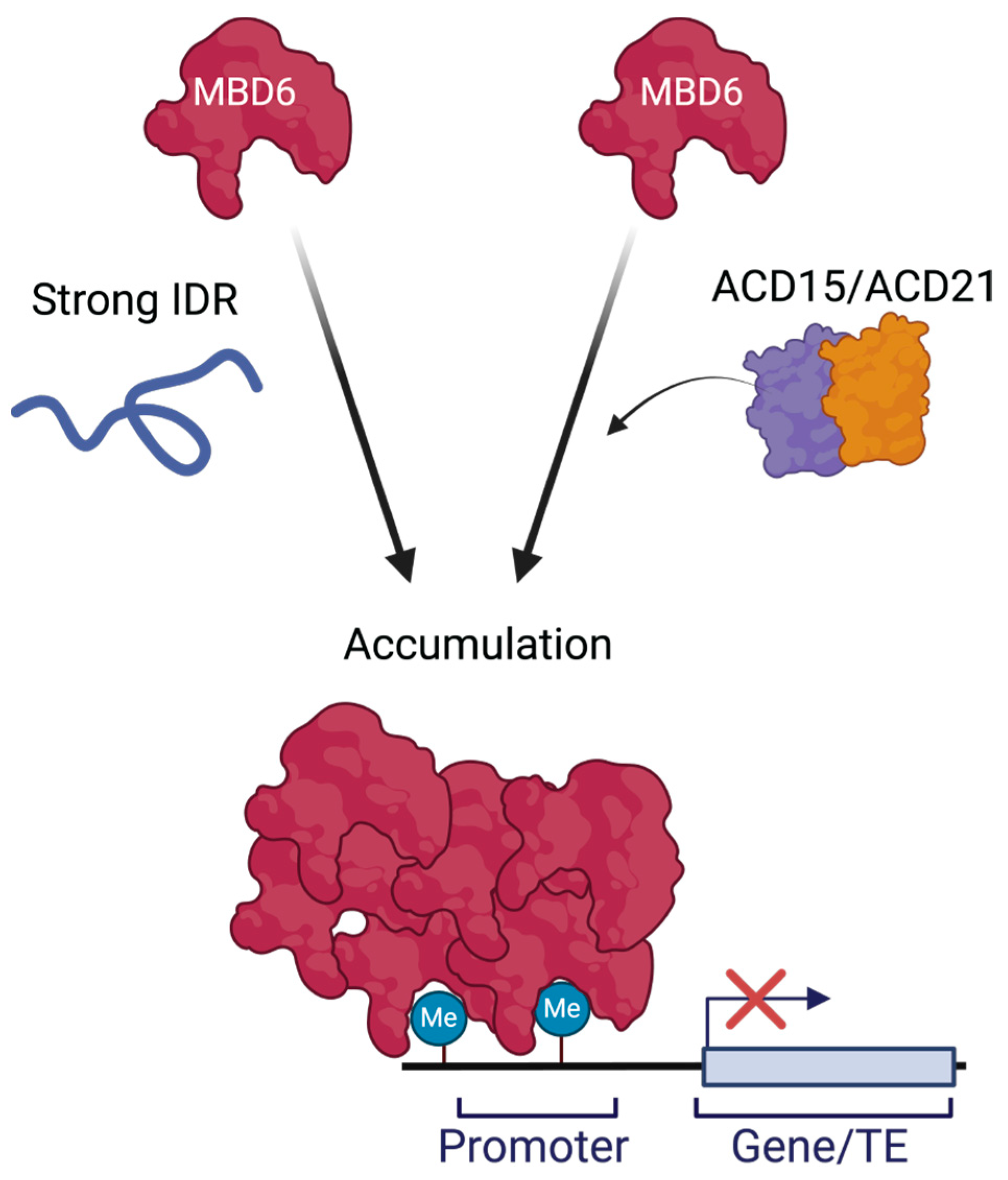 Epigenomes 08 00033 g003