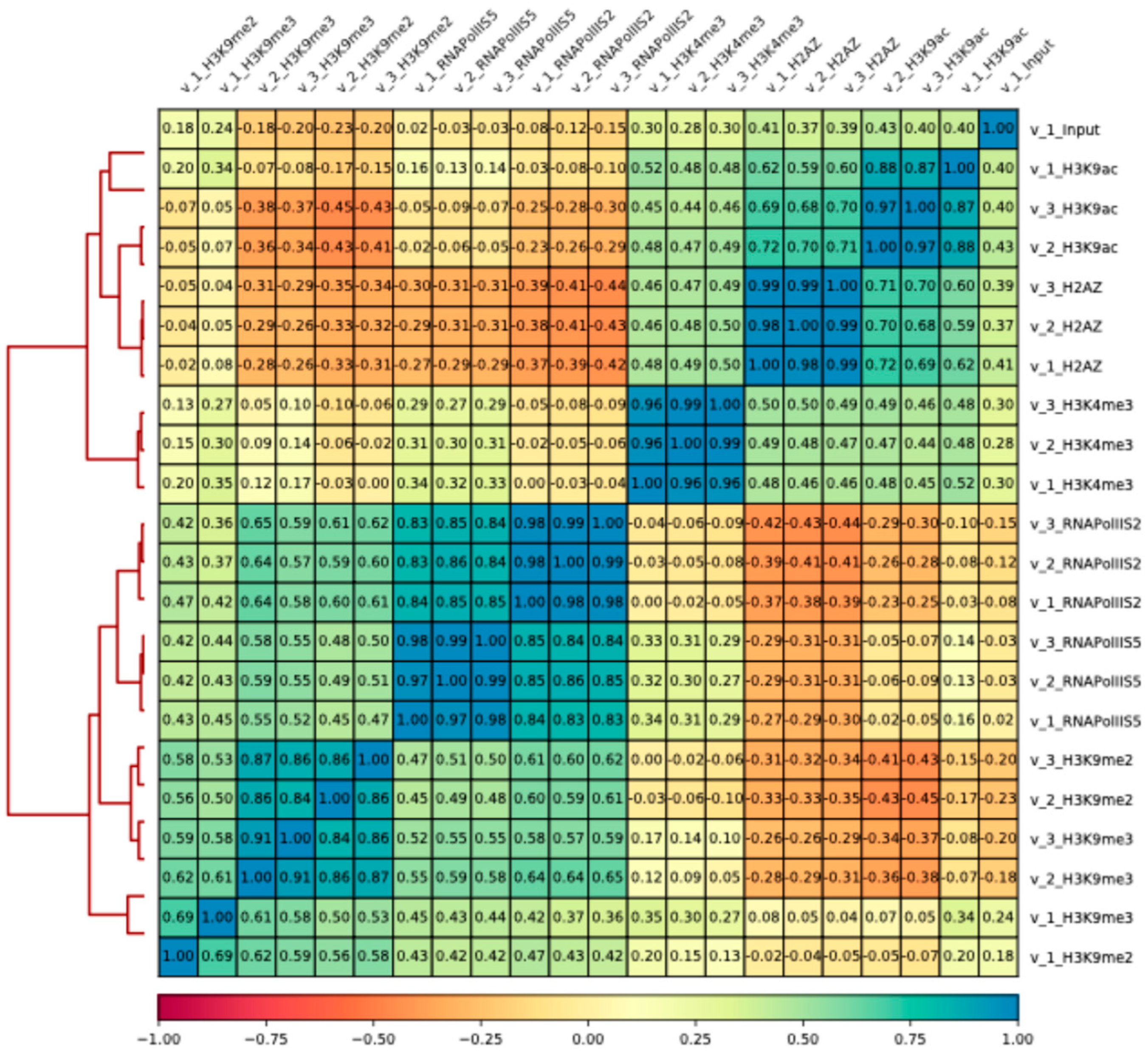 Epigenomes 08 00039 g001