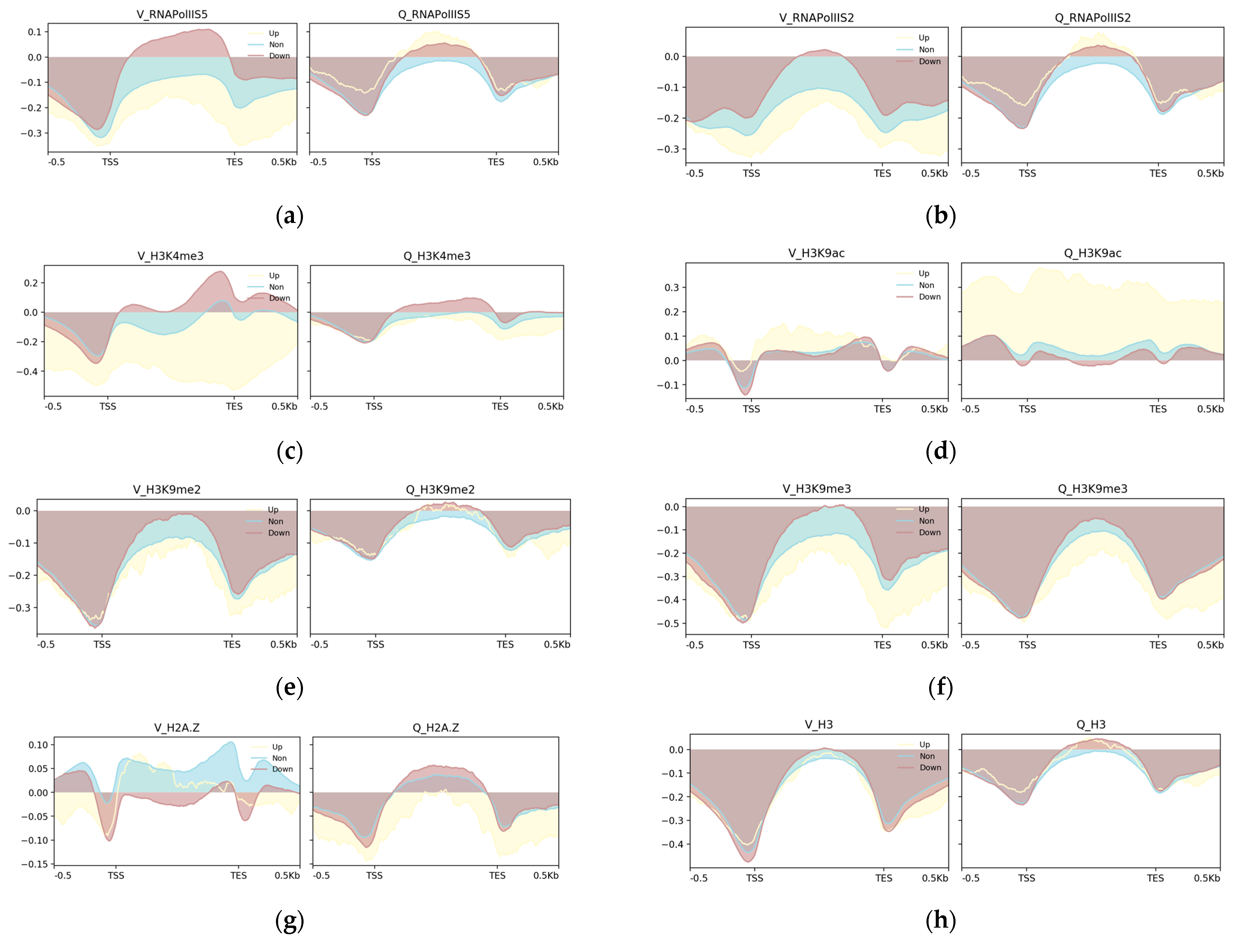 Epigenomes 08 00039 g005