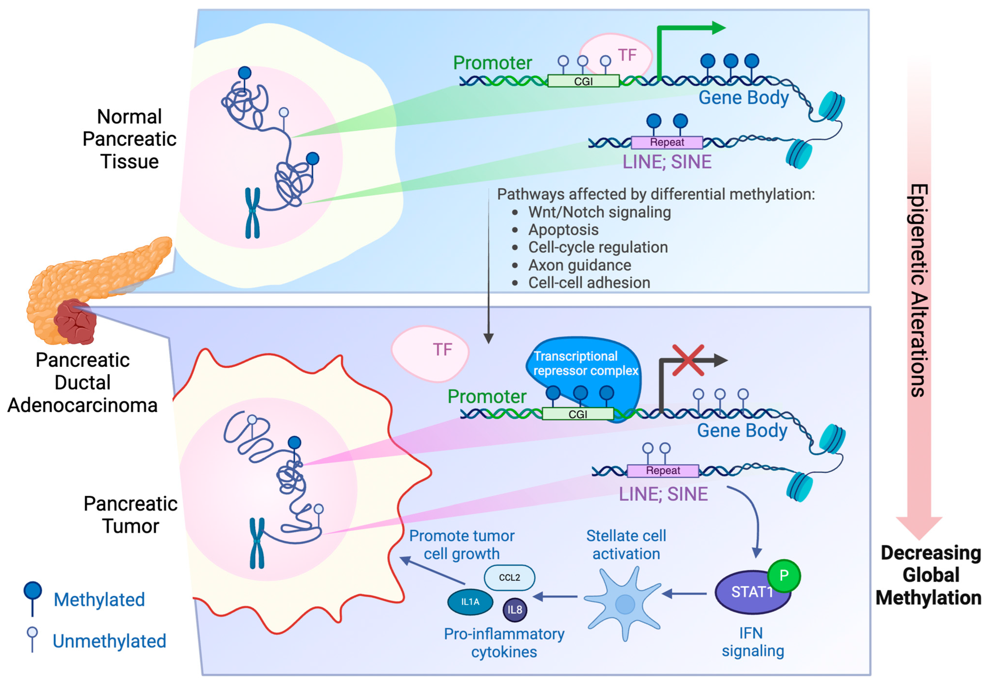 Epigenomes 08 00041 g001