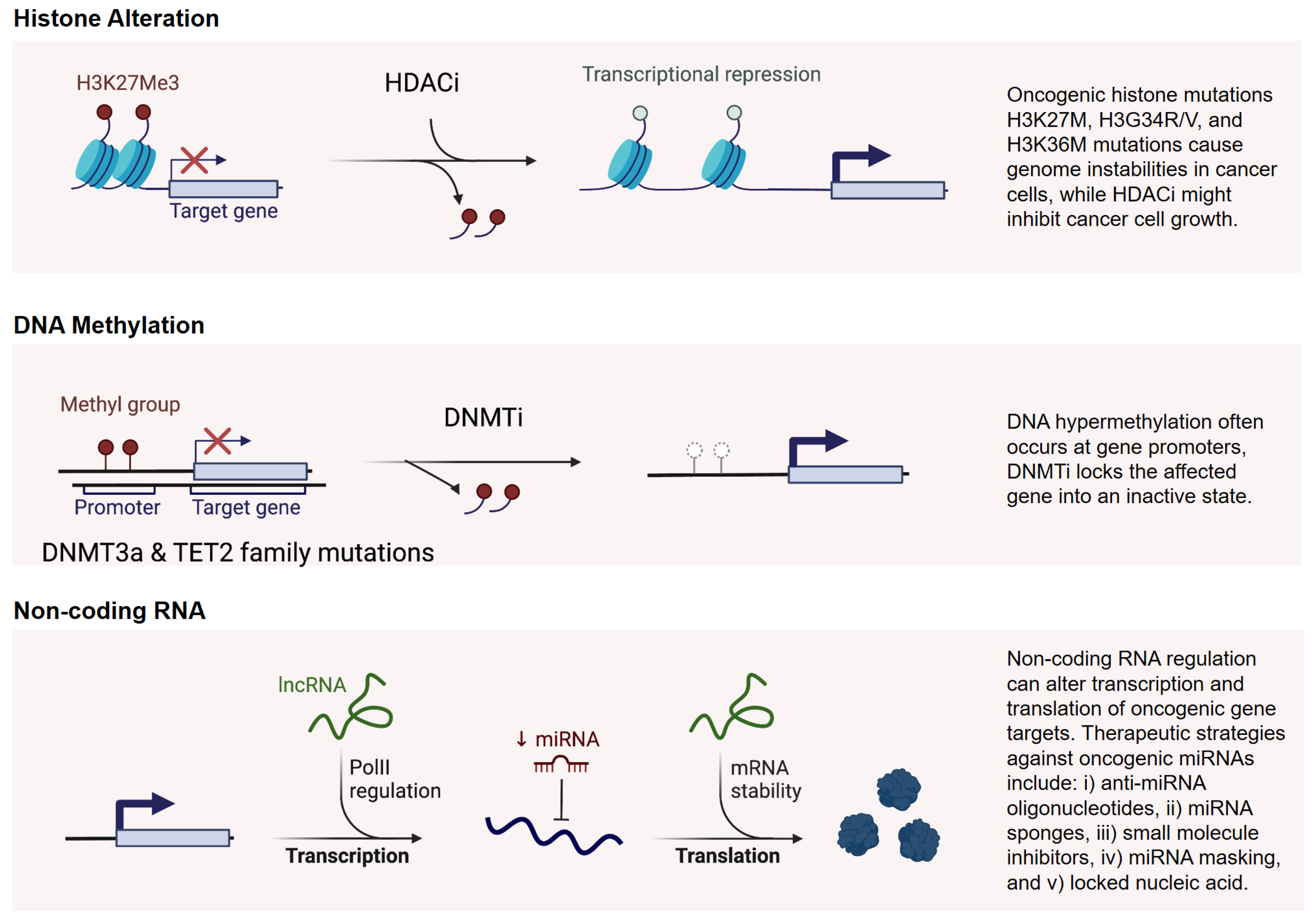 Epigenomes 09 00005 g003