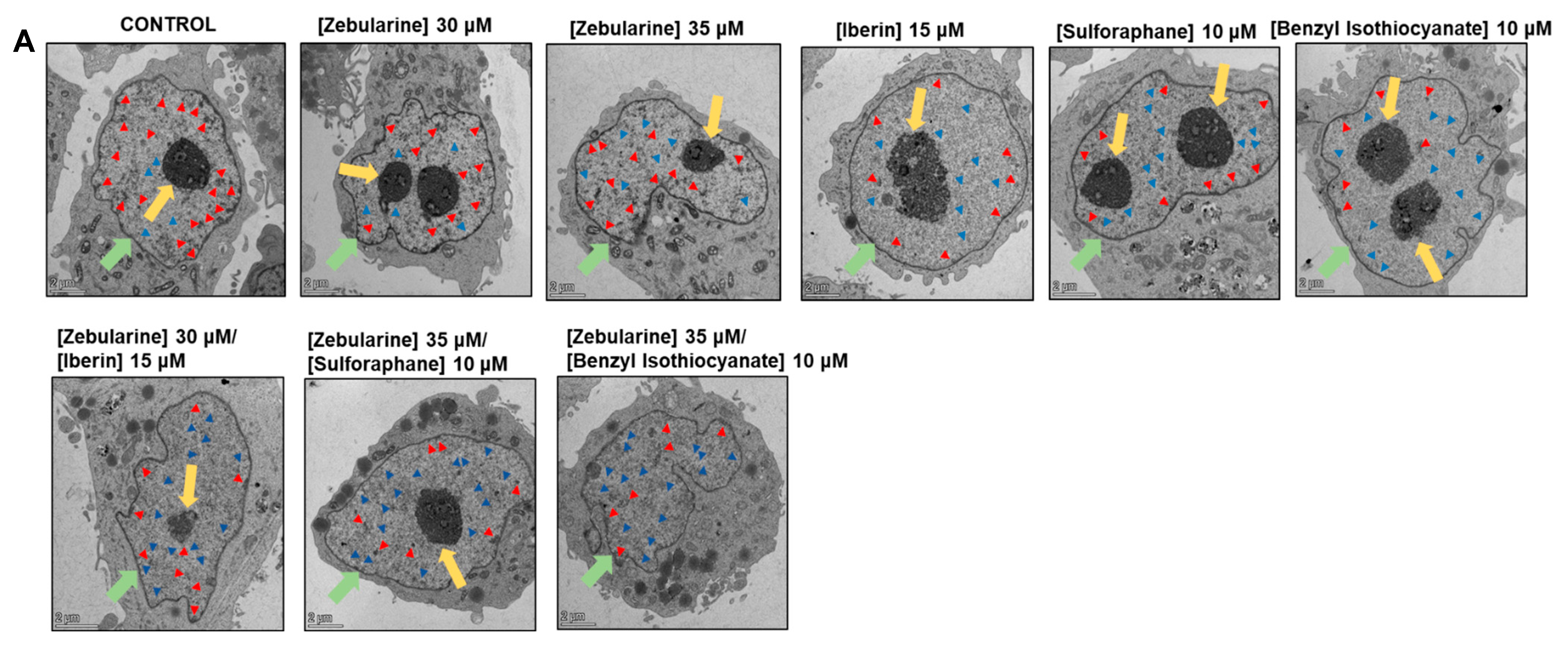 Epigenomes 09 00007 g005a