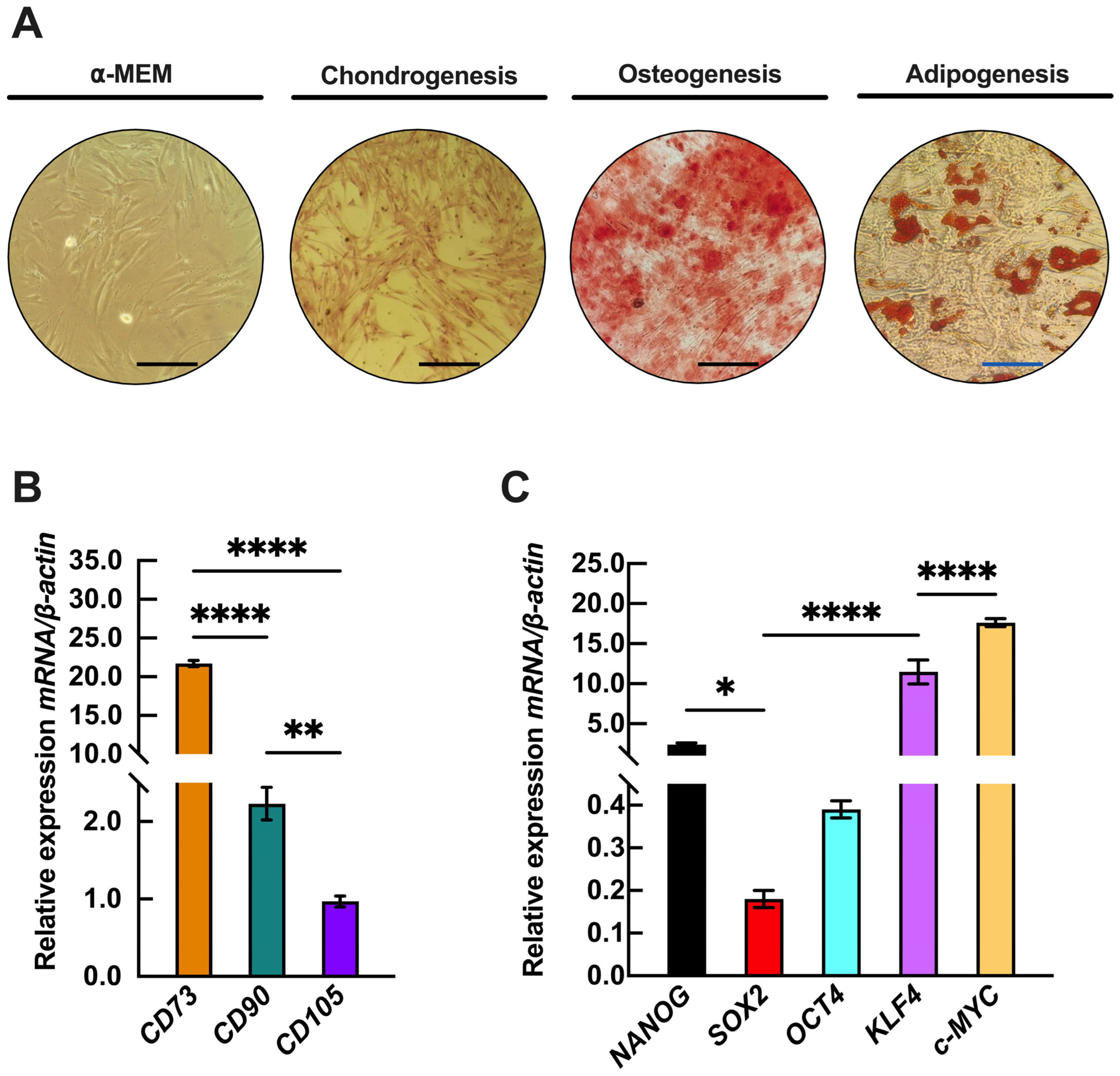 Epigenomes 09 00015 g001
