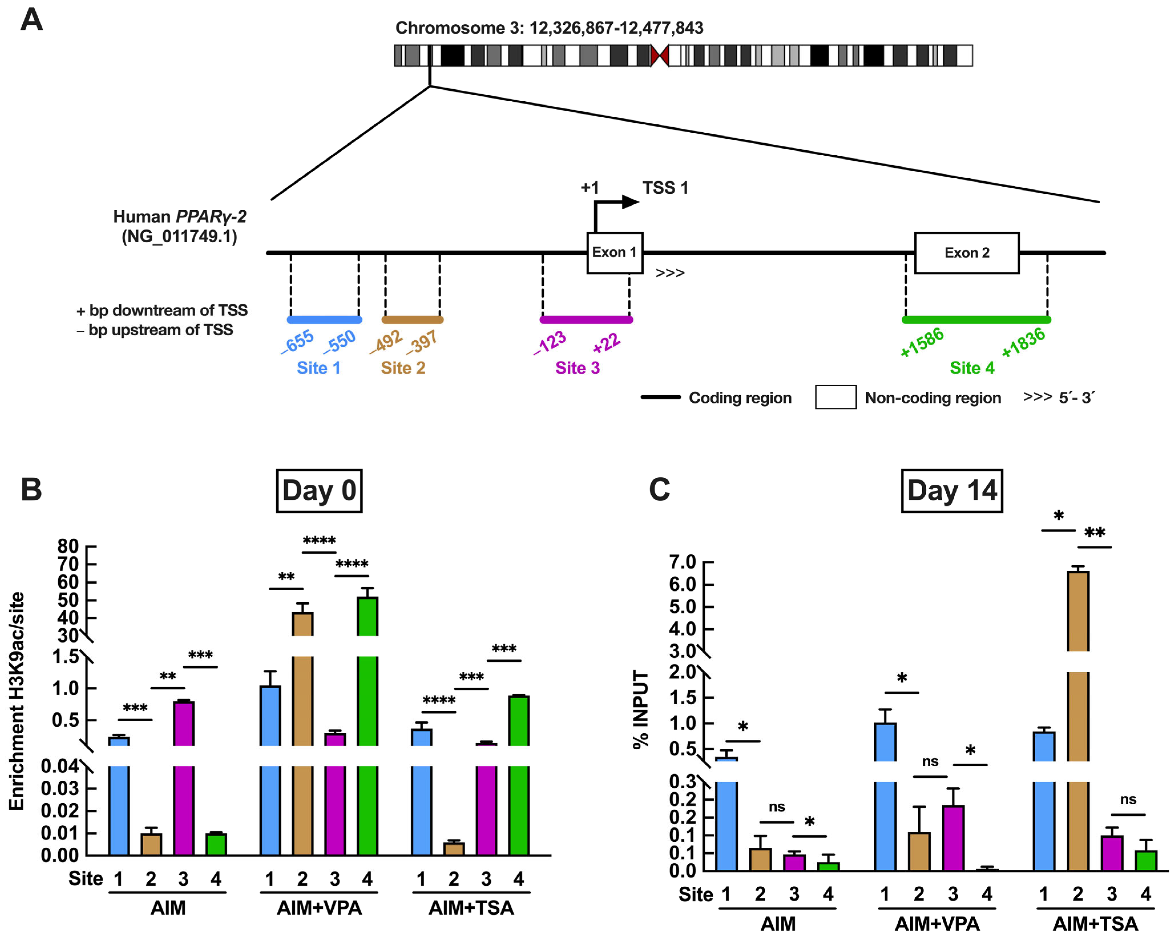Epigenomes 09 00015 g005