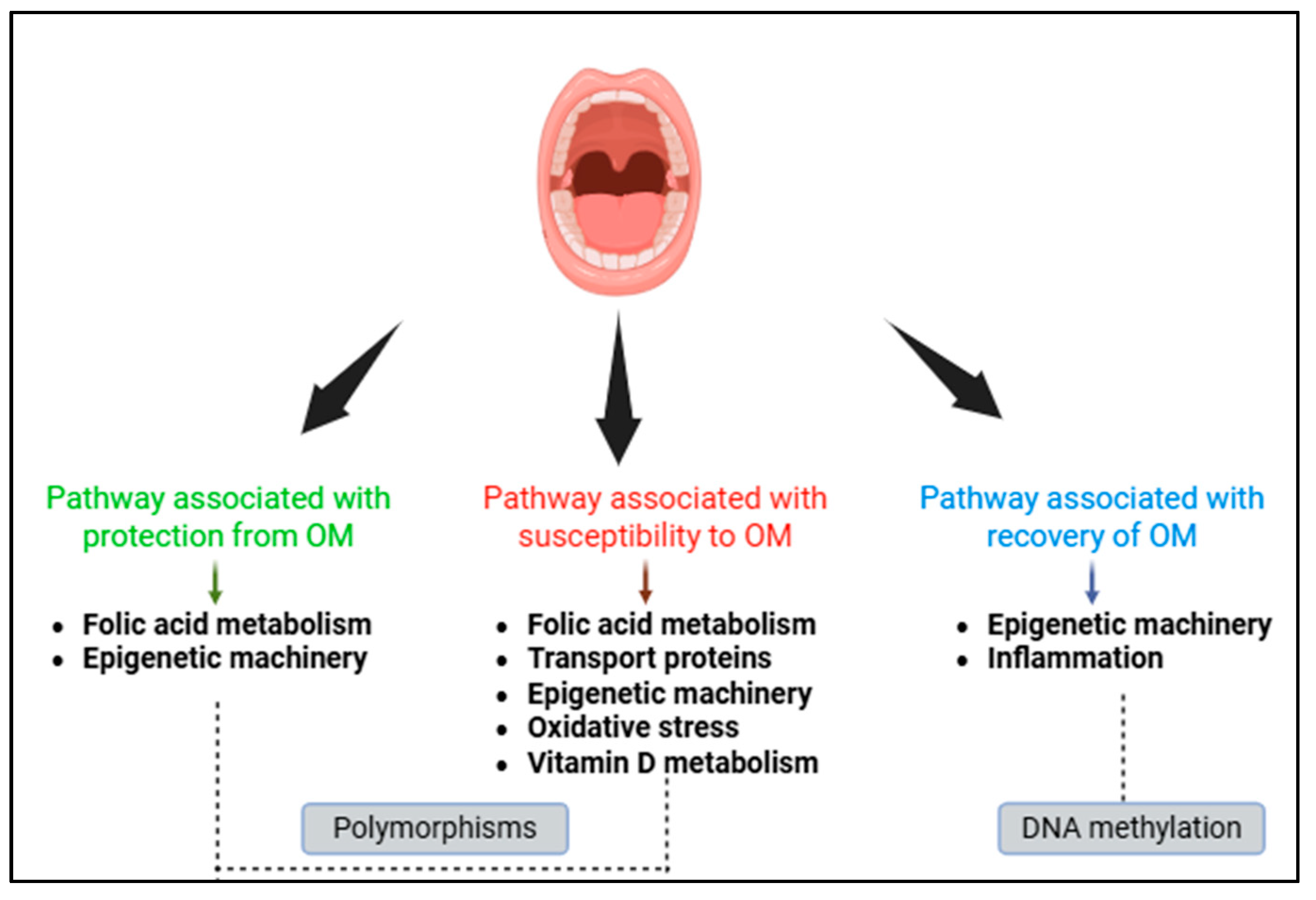0m Gene-viro-therapy targeting liver cancer by a dual-regulated