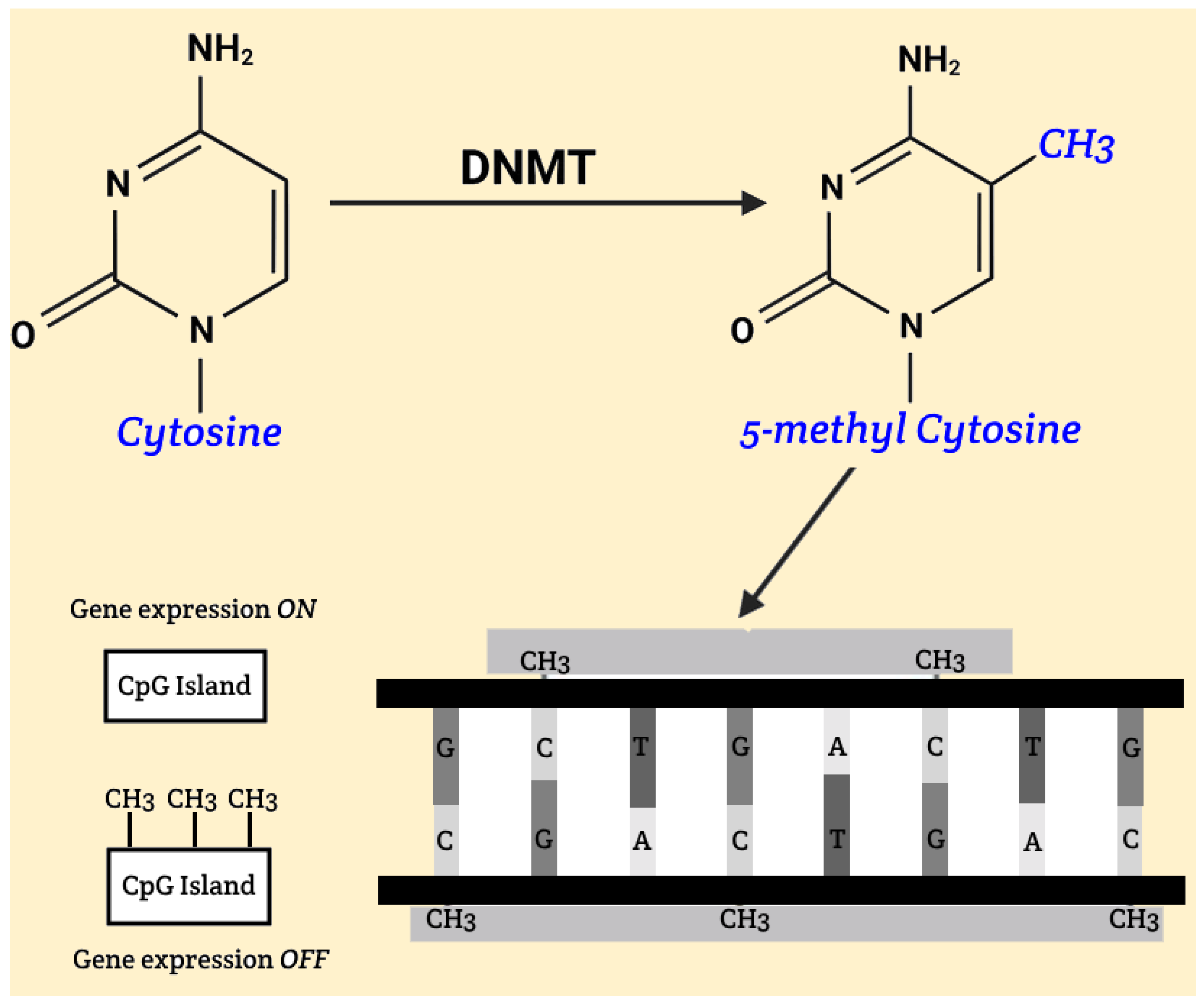 Epigenomes 09 00017 g001