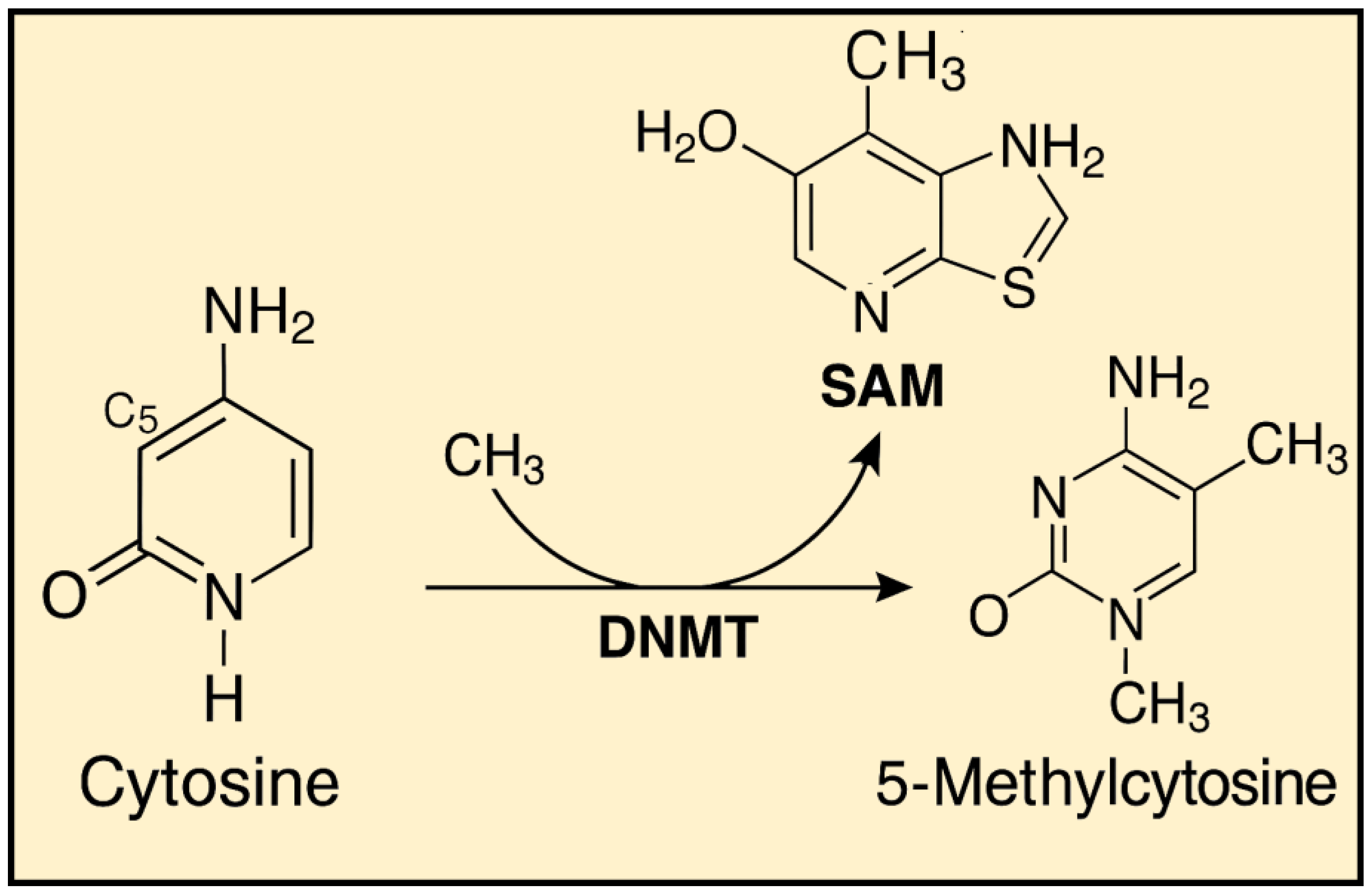 Epigenomes 09 00017 g002