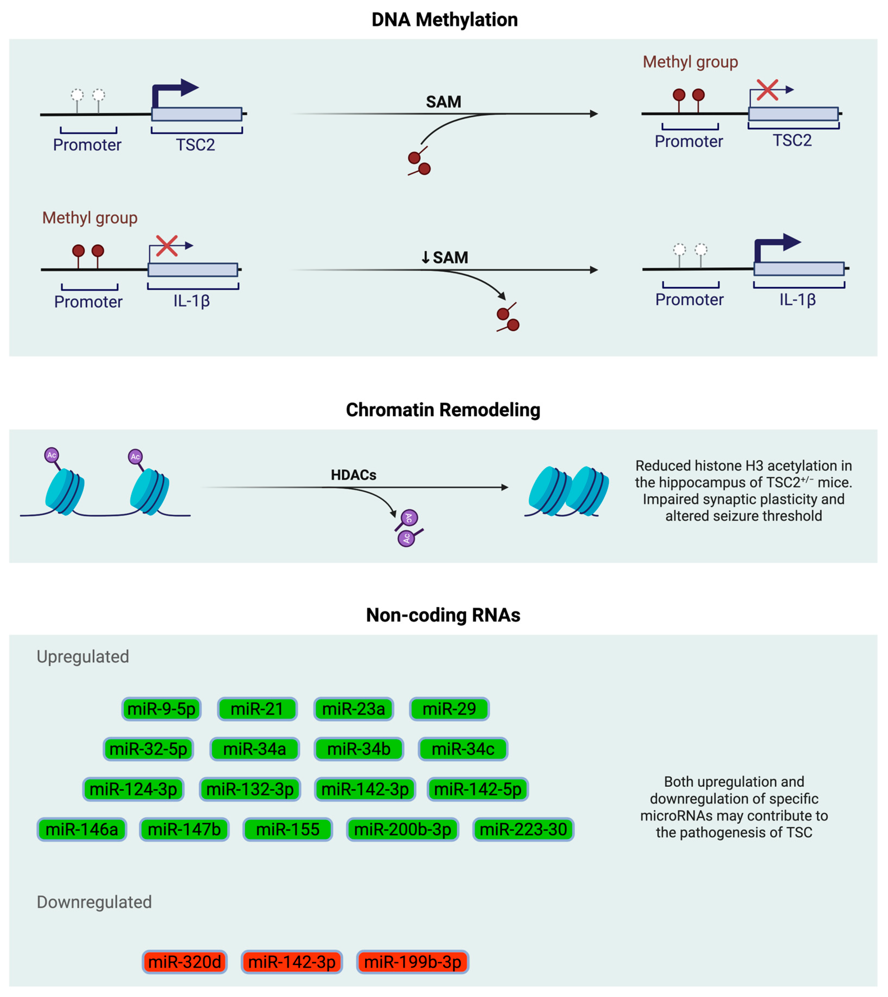 Epigenomes 09 00020 g001 Epigenomes 09 00020 g001