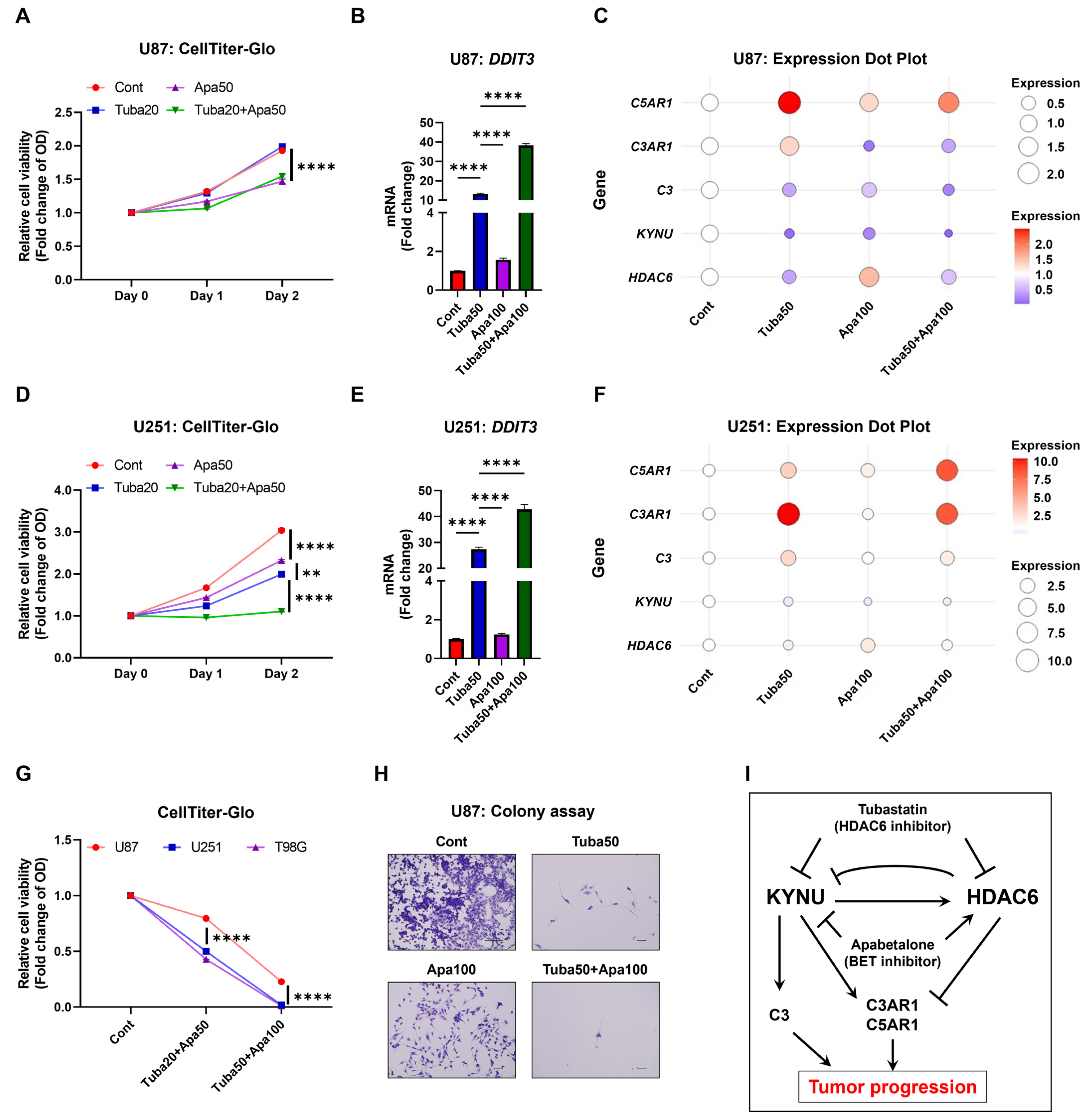 Epigenomes 09 00027 g006