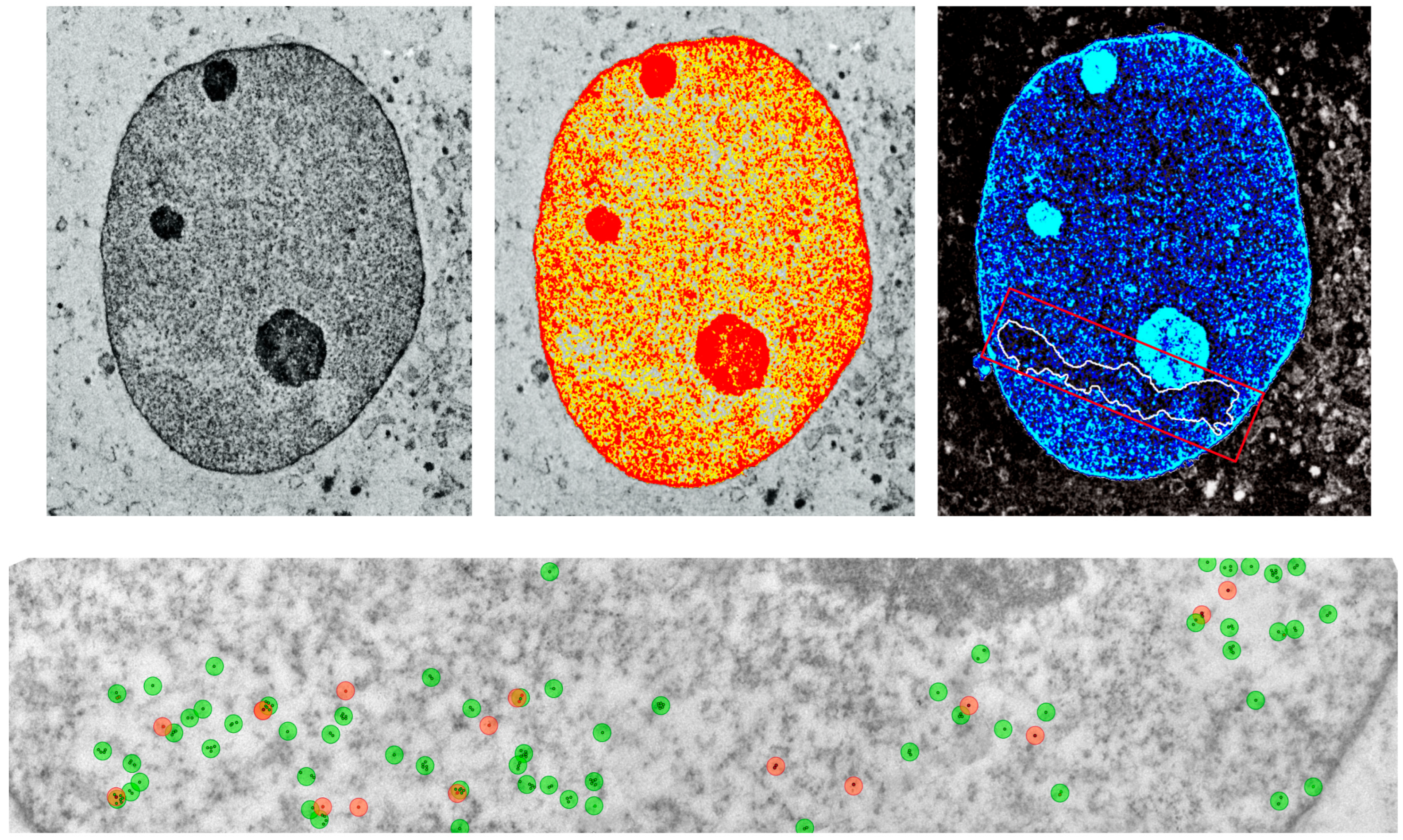 Epigenomes 09 00029 g001