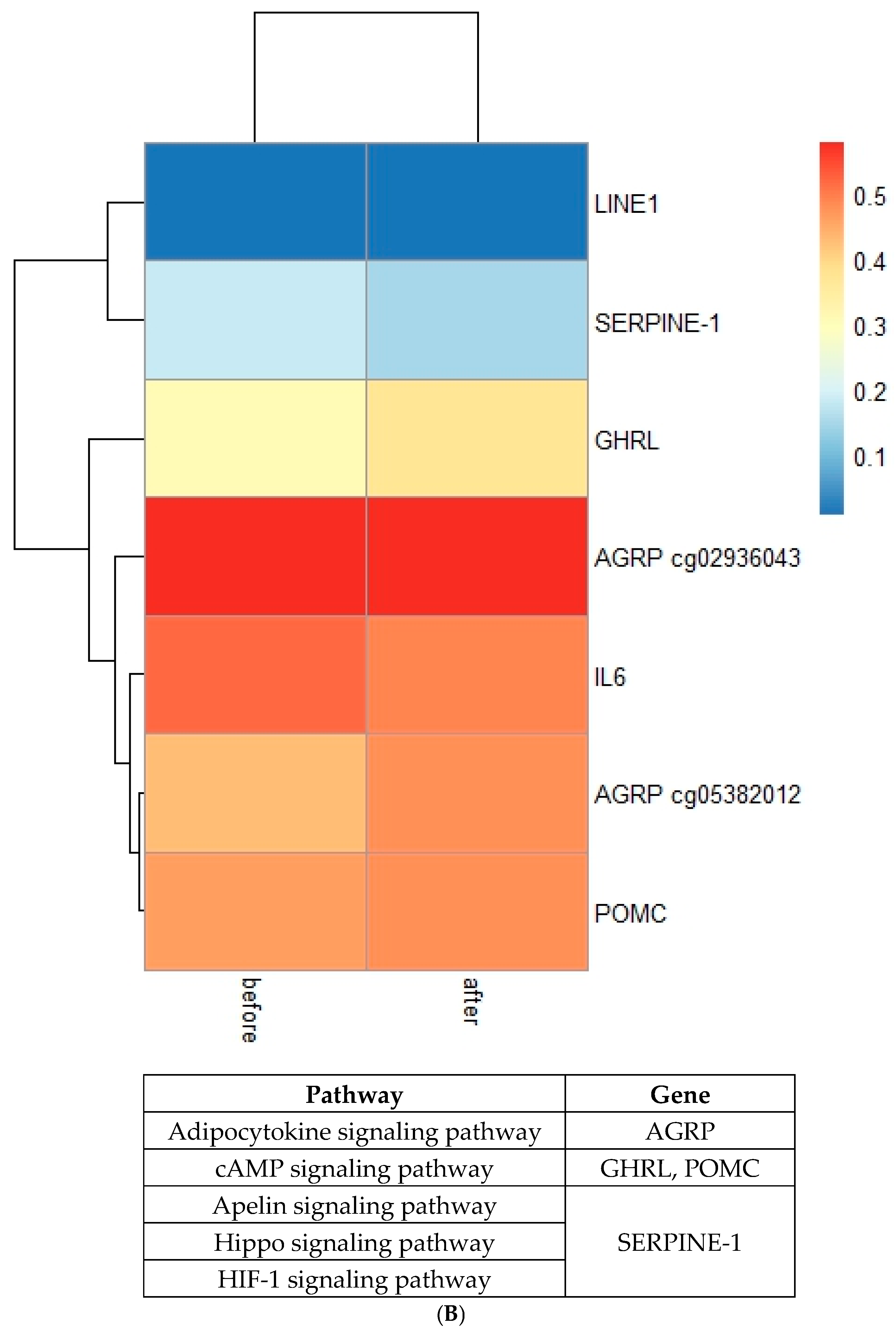 Epigenomes 09 00032 g003b