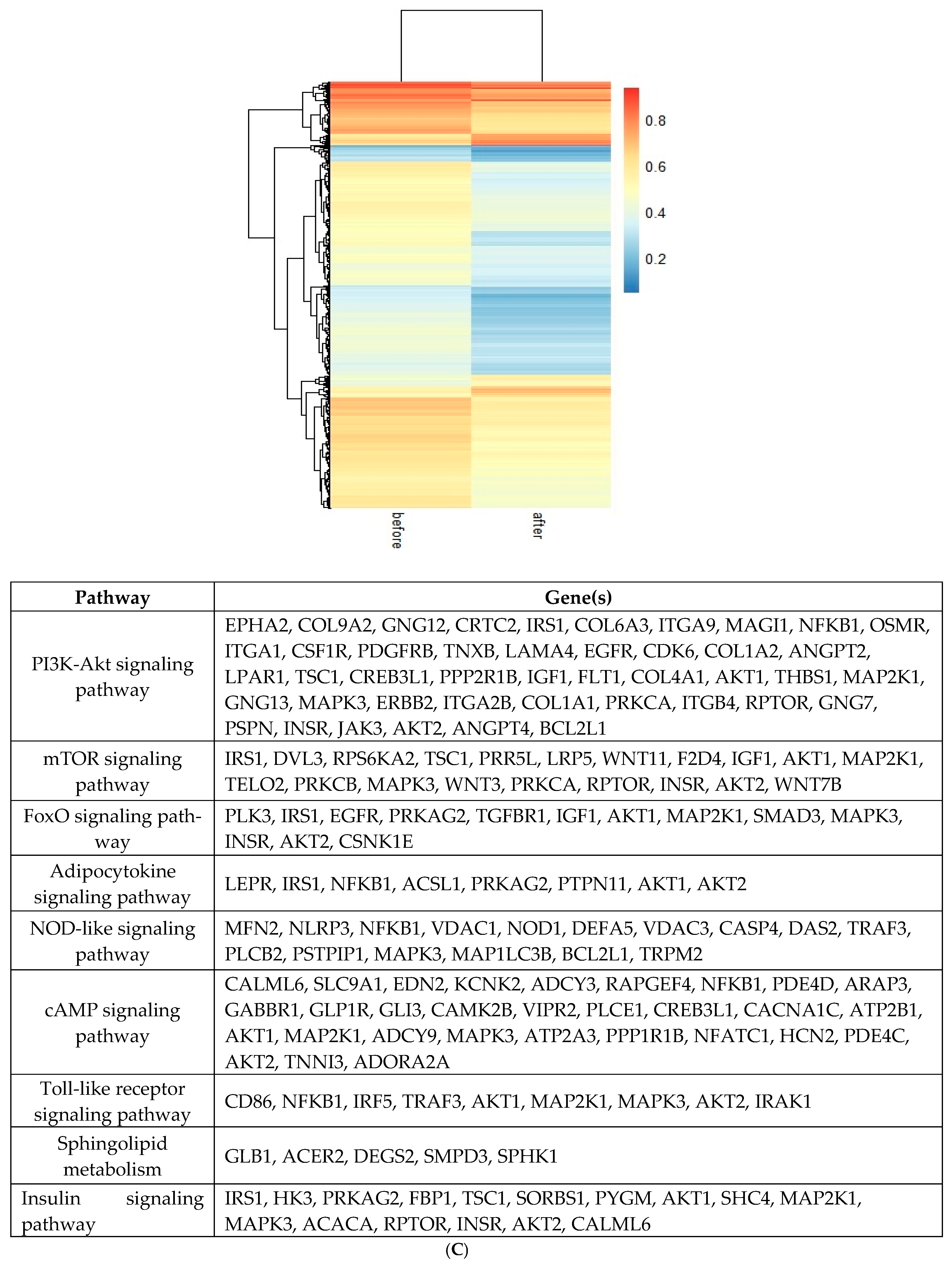 Epigenomes 09 00032 g003c