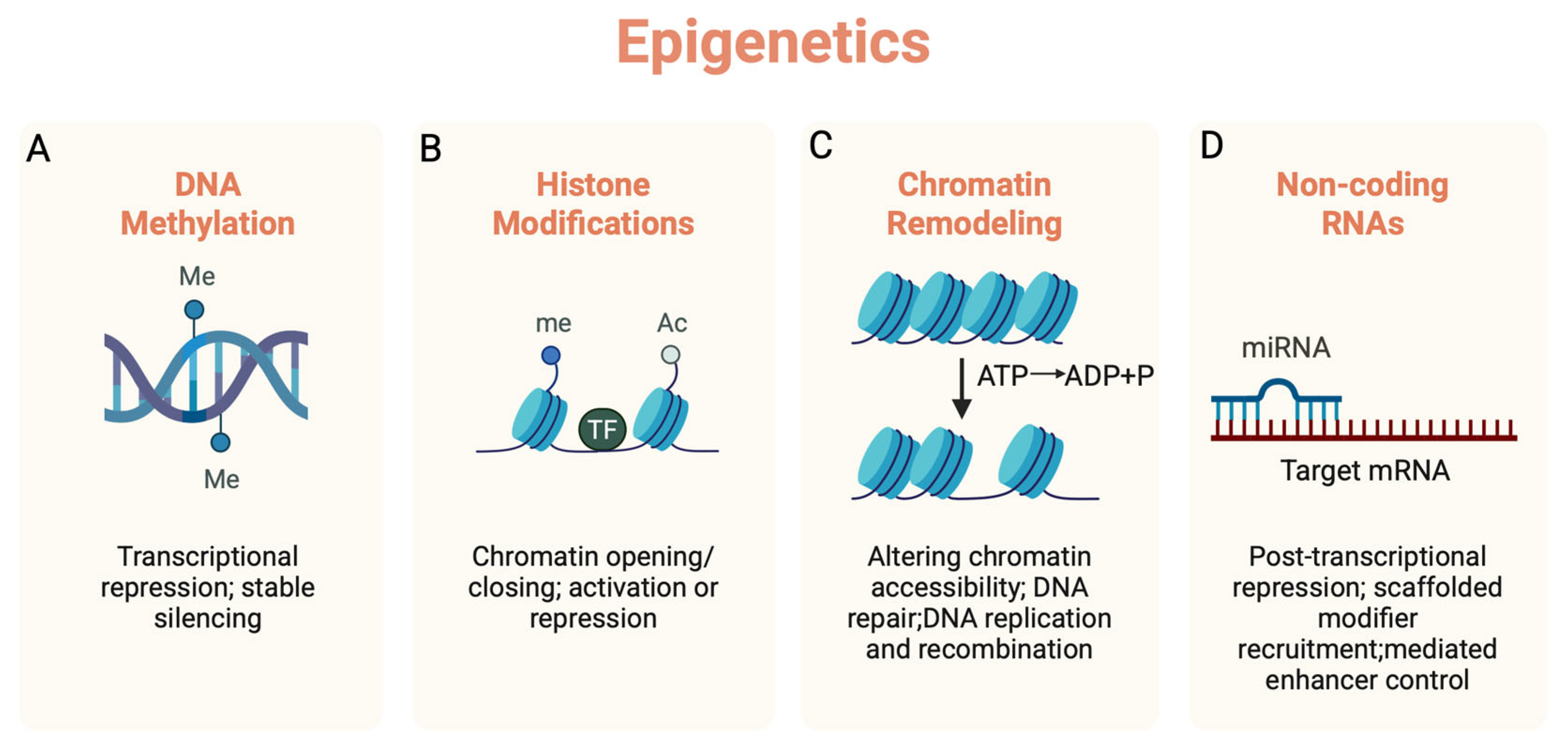 Epigenomes 09 00038 g001