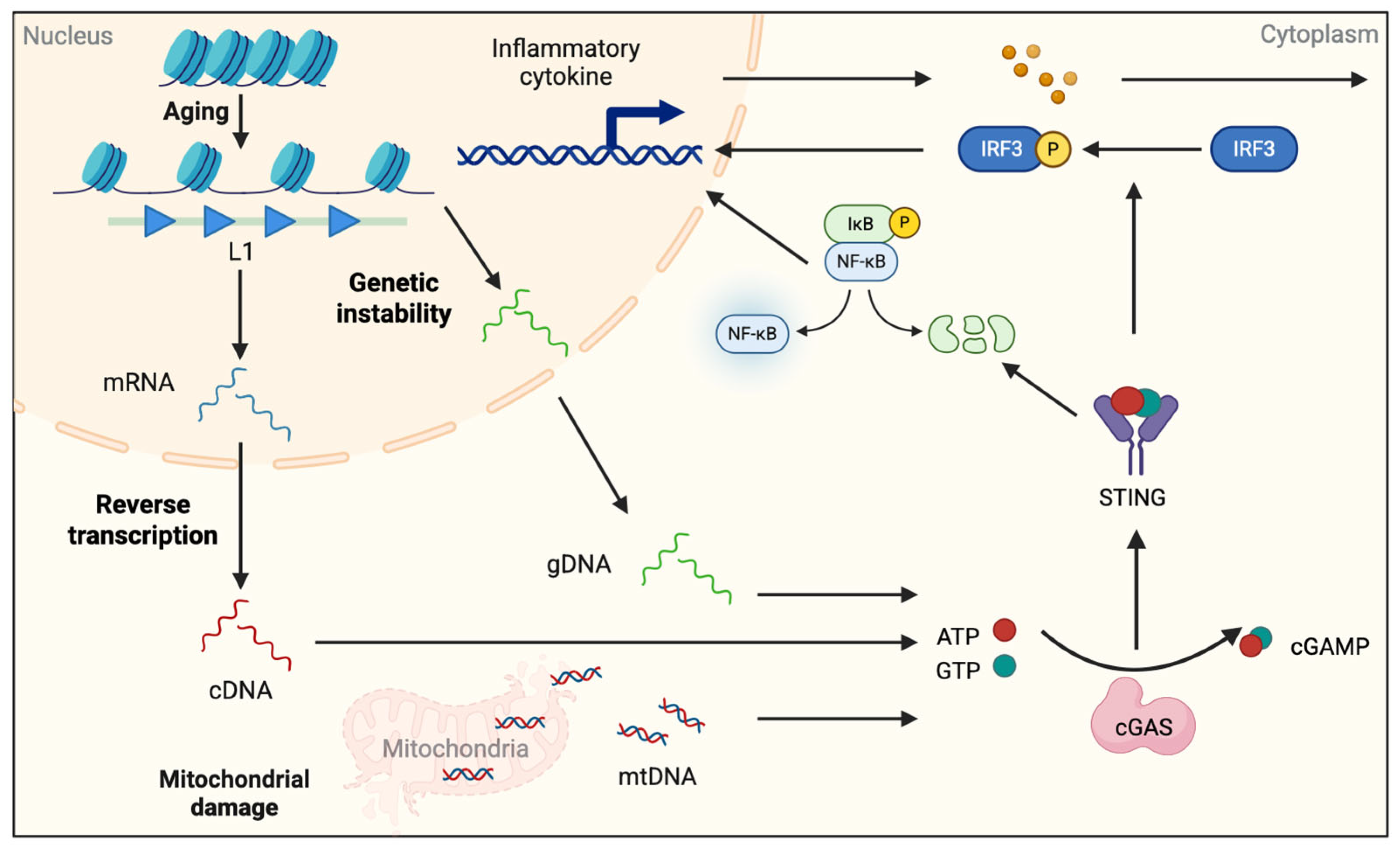 Epigenomes 09 00038 g002
