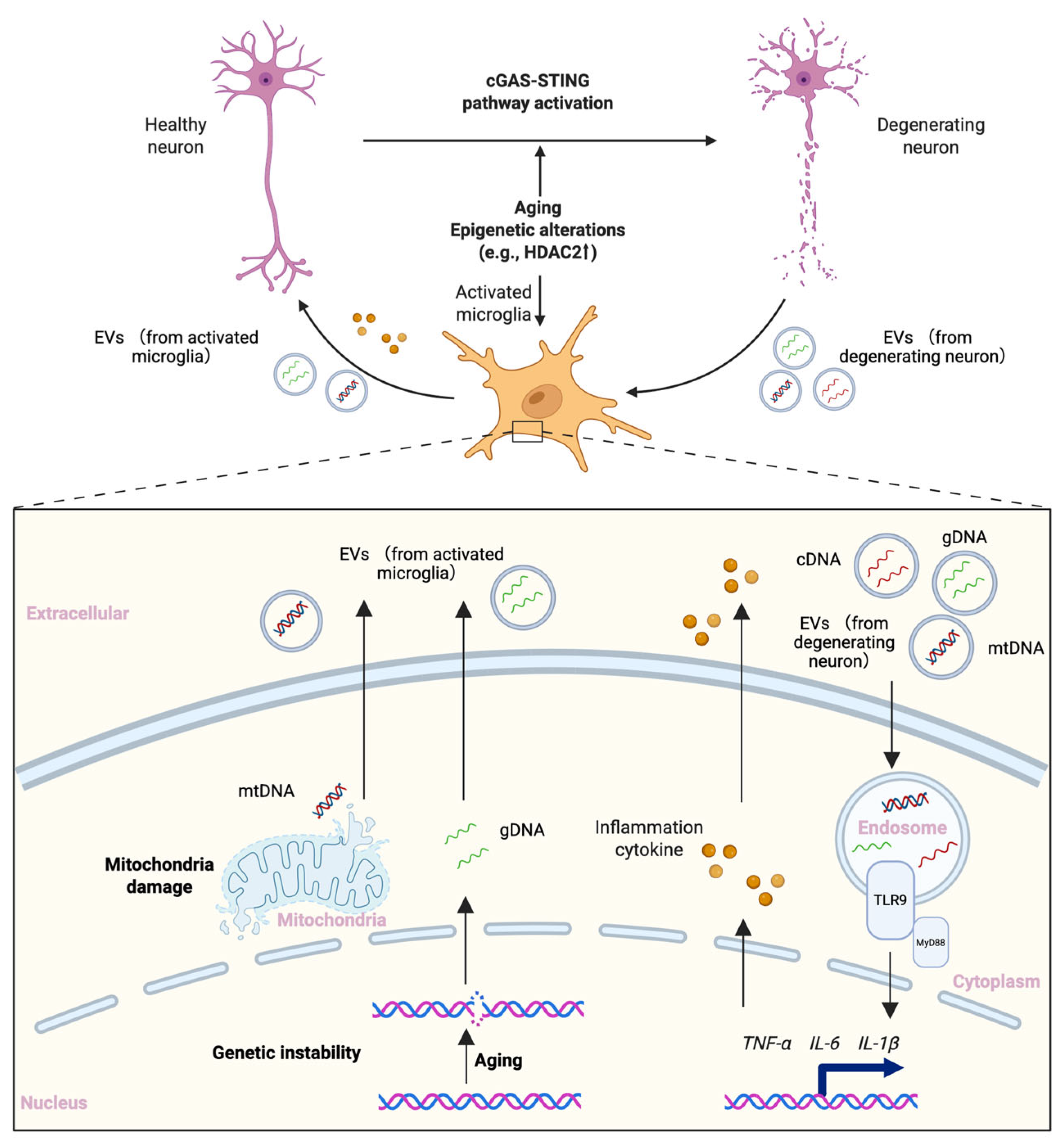 Epigenomes 09 00038 g003