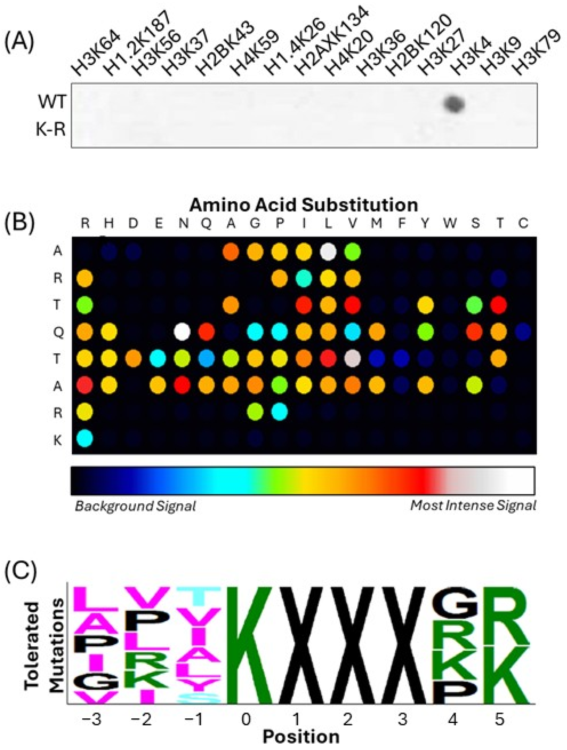 Epigenomes 09 00041 g001 Epigenomes 09 00041 g001