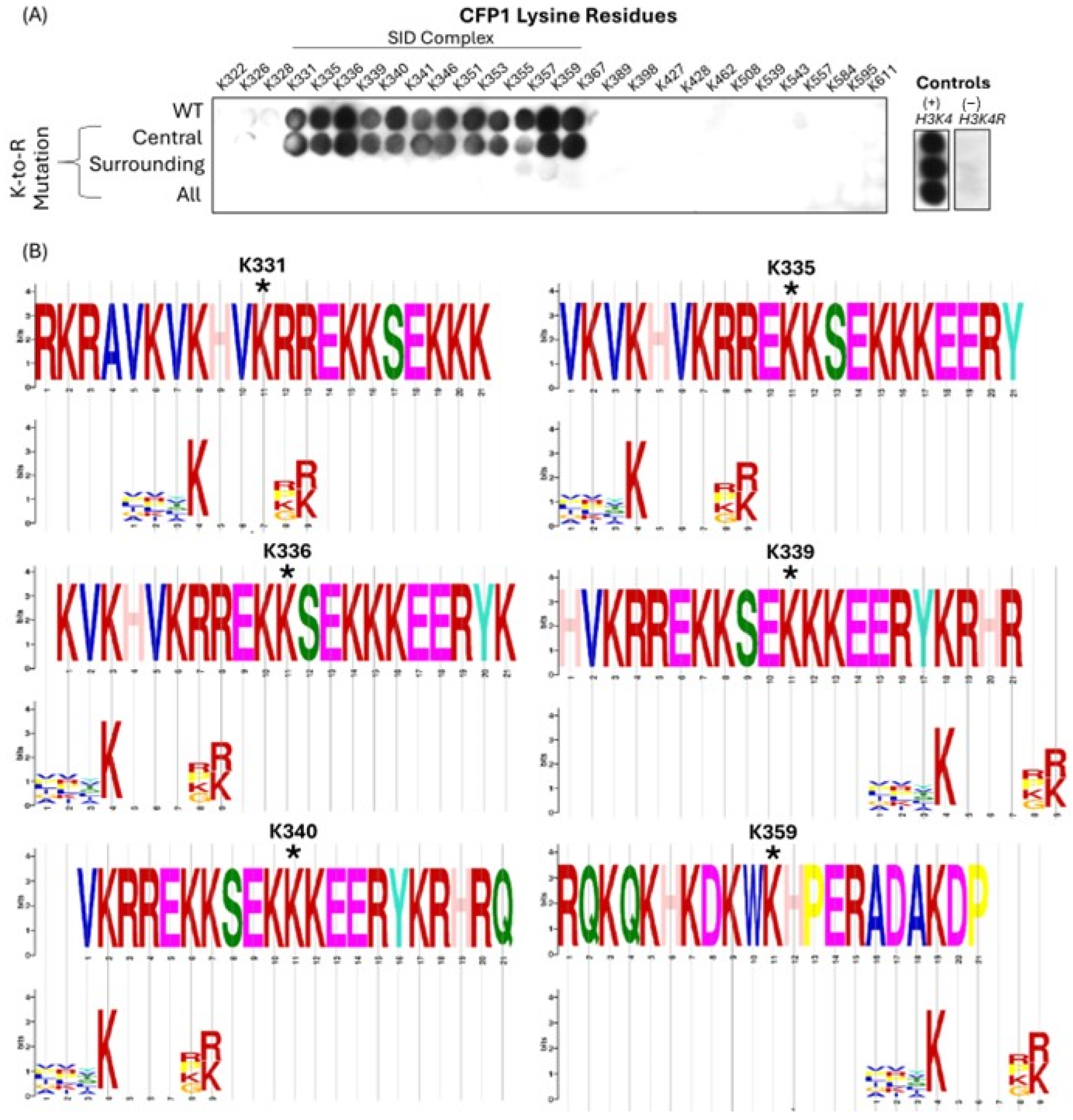 Epigenomes 09 00041 g004 Epigenomes 09 00041 g004