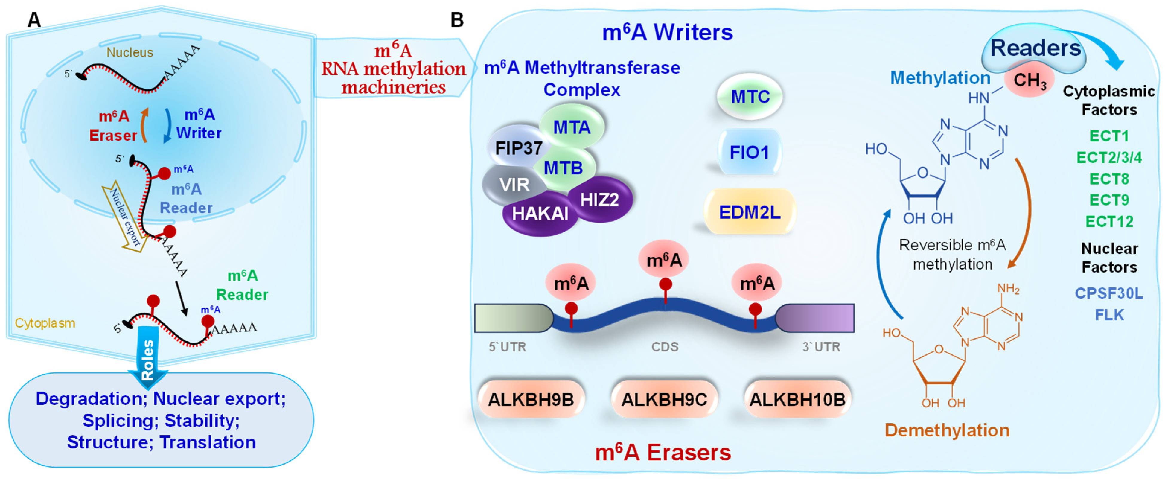 Epigenomes 09 00042 g001 Epigenomes 09 00042 g001
