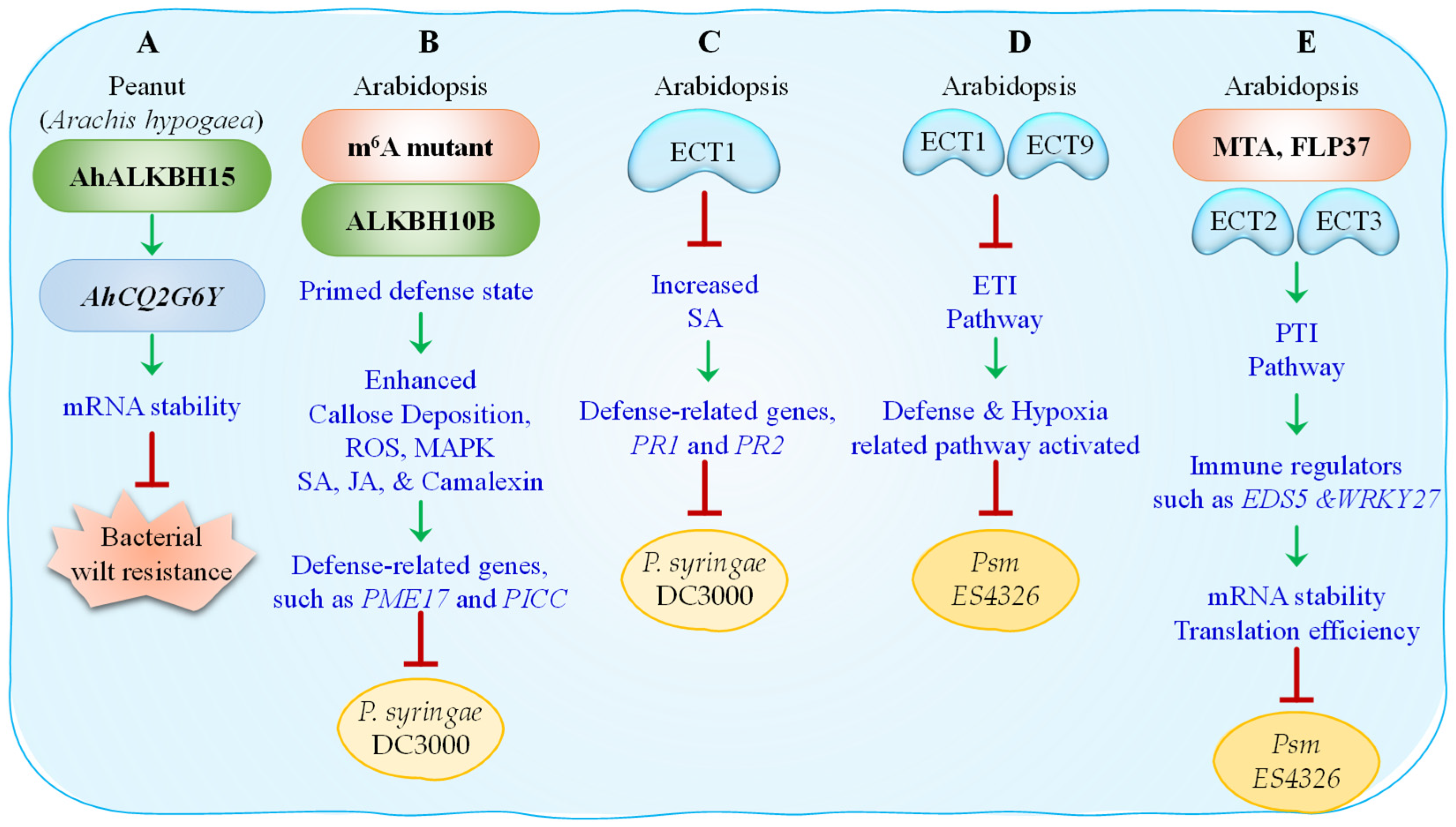 Epigenomes 09 00042 g003 Epigenomes 09 00042 g003