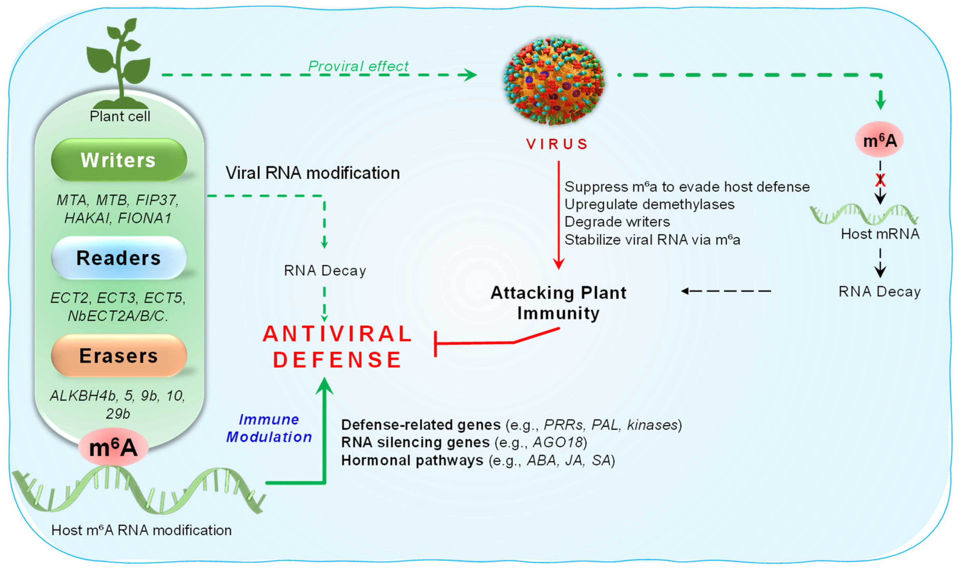 Epigenomes 09 00042 g004 Epigenomes 09 00042 g004