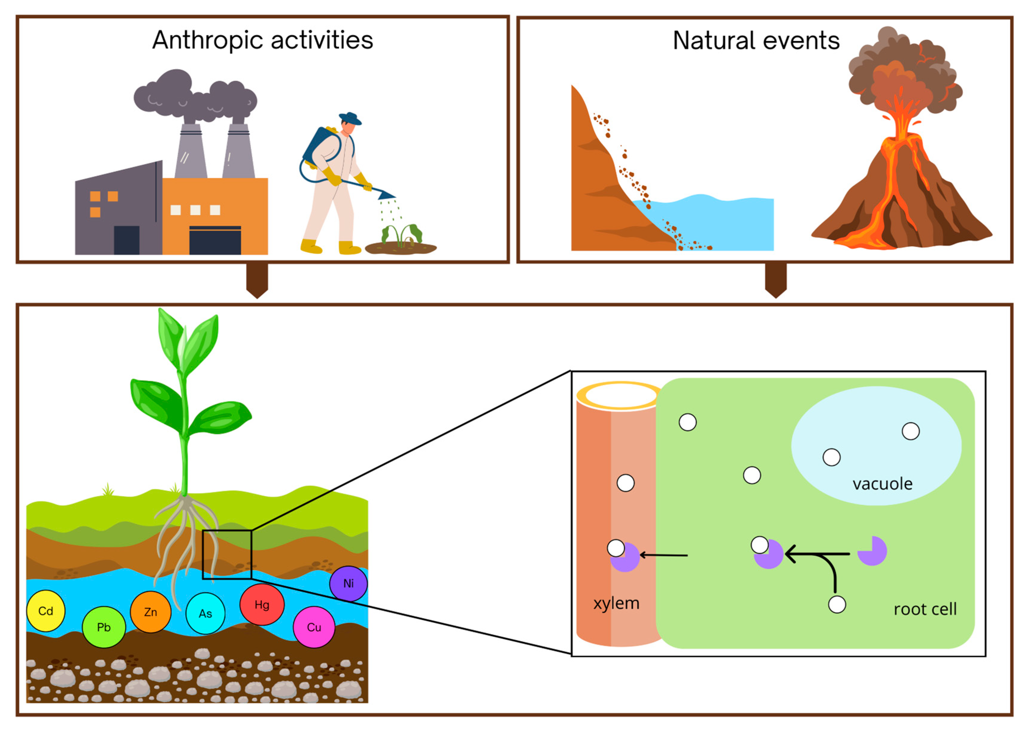 Epigenomes 09 00043 g001