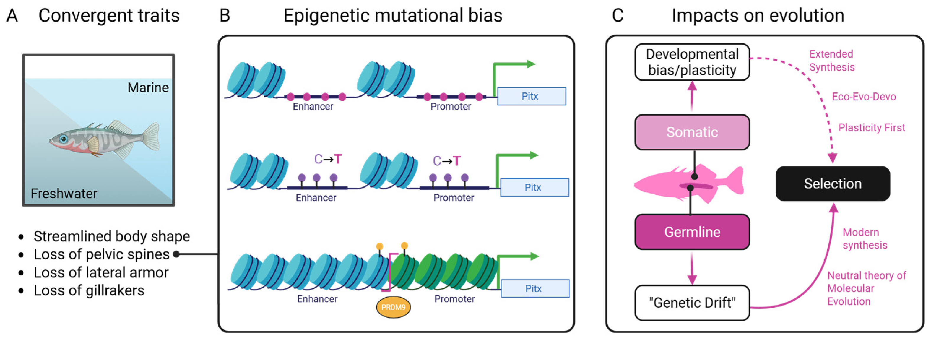Epigenomes 09 00045 g003