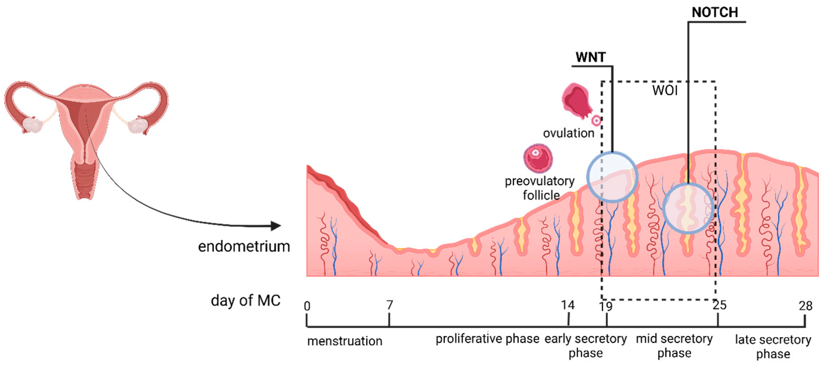 Epigenomes 09 00047 g003