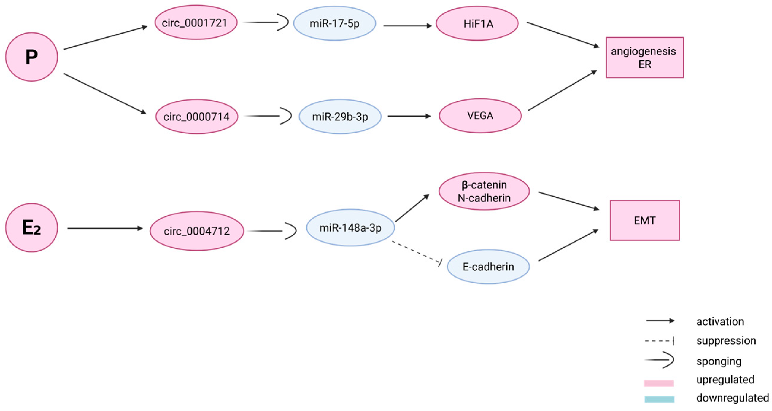 Epigenomes 09 00047 g004