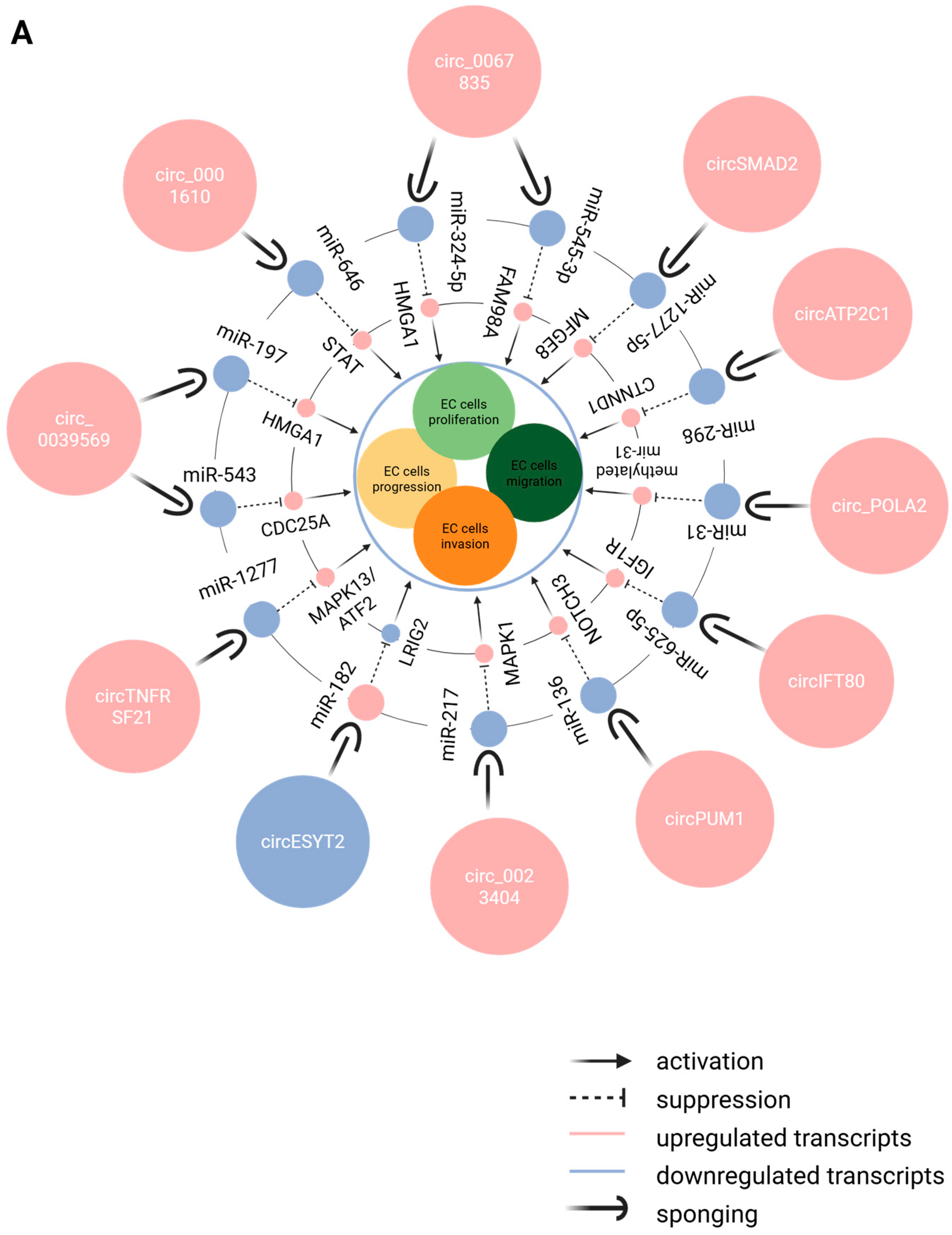 Epigenomes 09 00047 g005a
